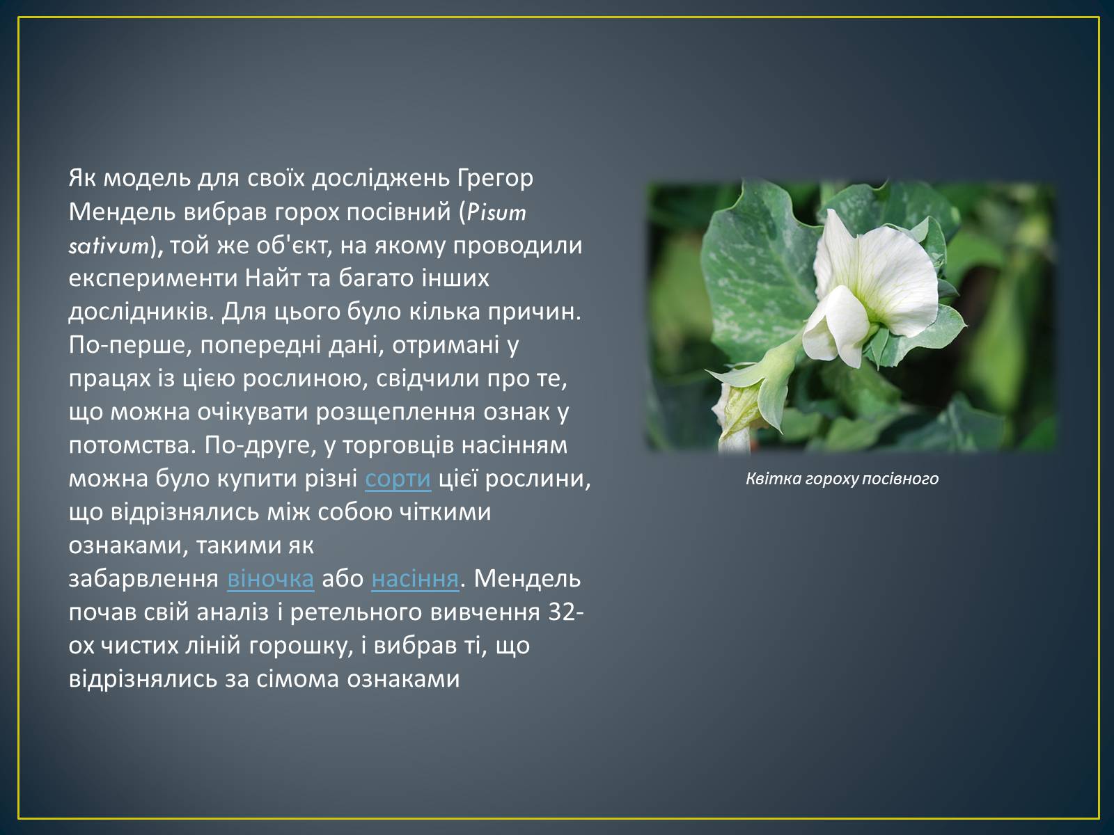 Презентація на тему «Грегор Мендель та його досліди» - Слайд #8 Презентація на тему «Грегор Мендель та його досліди» - Слайд #8