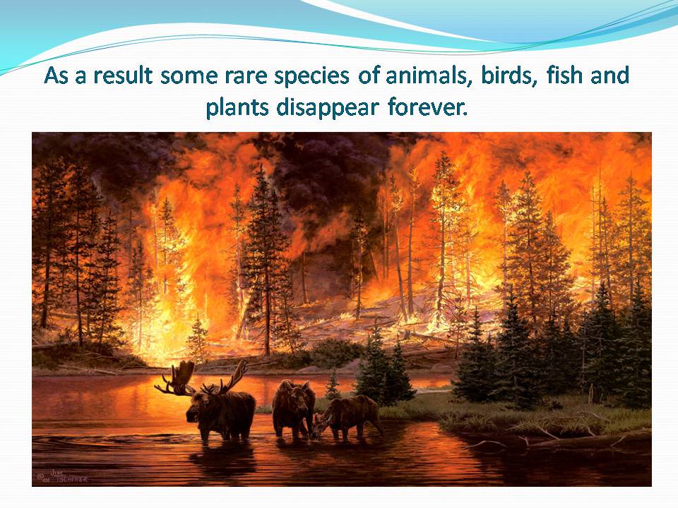 Презентація на тему «Ecological problems» (варіант 7) - Слайд #6 Презентація на тему «Ecological problems» (варіант 7) - Слайд #6