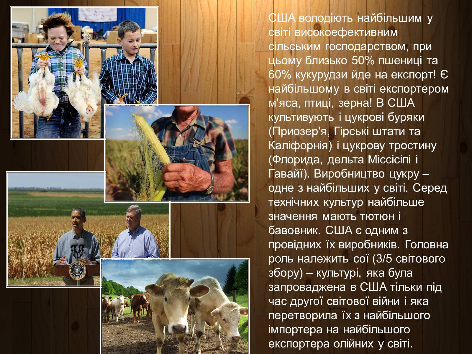 Презентація на тему «Made in the USA» - Слайд #3 Презентація на тему «Made in the USA» - Слайд #3