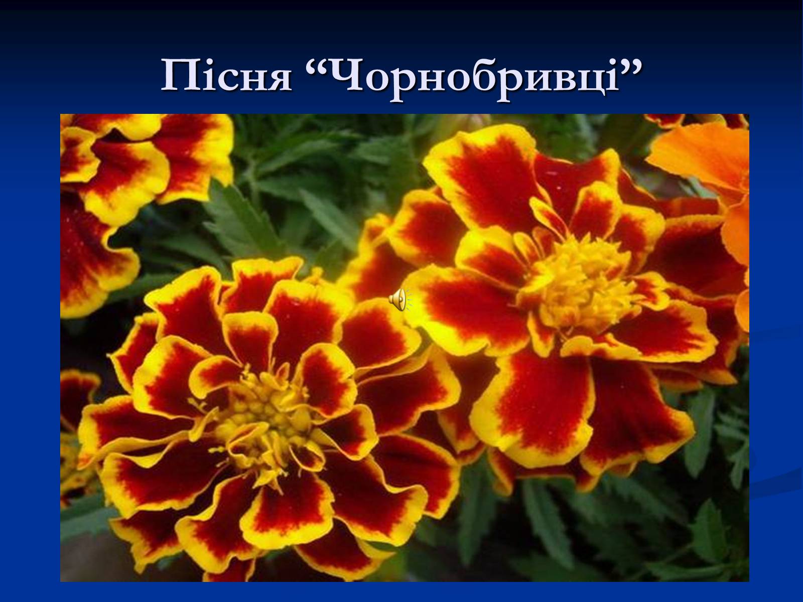 Презентація на тему «День рідної мови» - Слайд #23 Презентація на тему «День рідної мови» - Слайд #23
