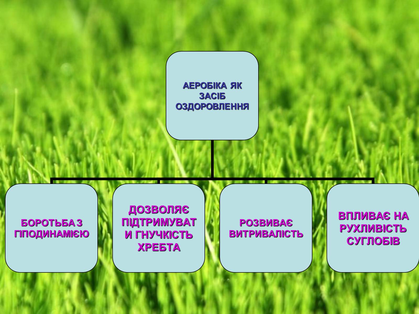 Презентація на тему «Аеробіка» - Слайд #20 Презентація на тему «Аеробіка» - Слайд #20
