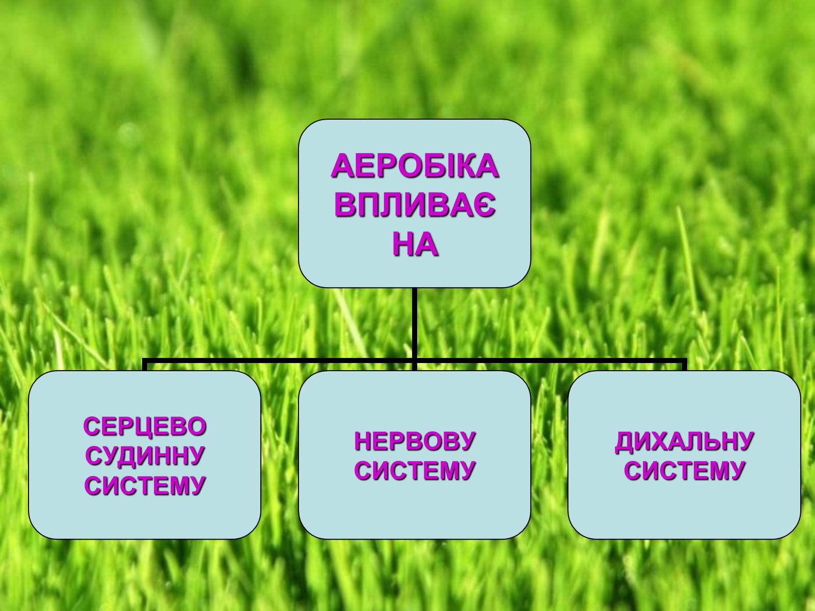 Презентація на тему «Аеробіка» - Слайд #21 Презентація на тему «Аеробіка» - Слайд #21