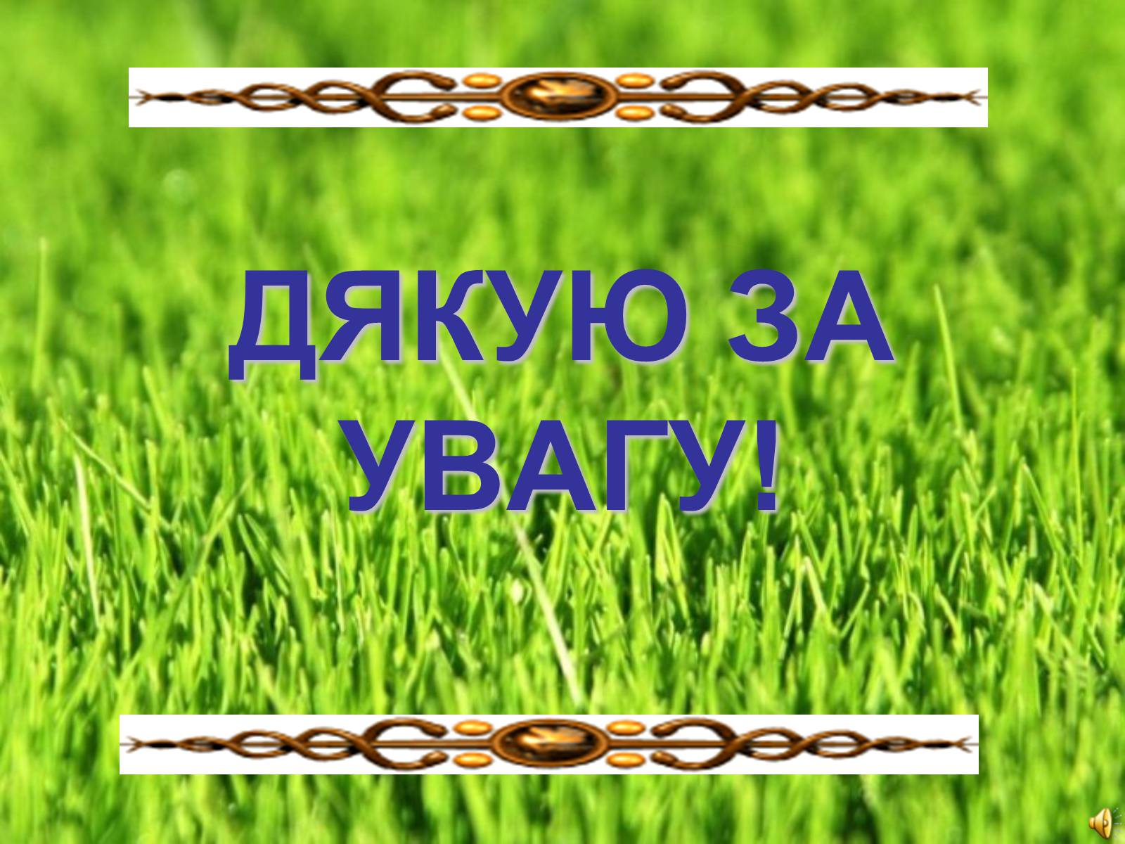 Презентація на тему «Аеробіка» - Слайд #37 Презентація на тему «Аеробіка» - Слайд #37