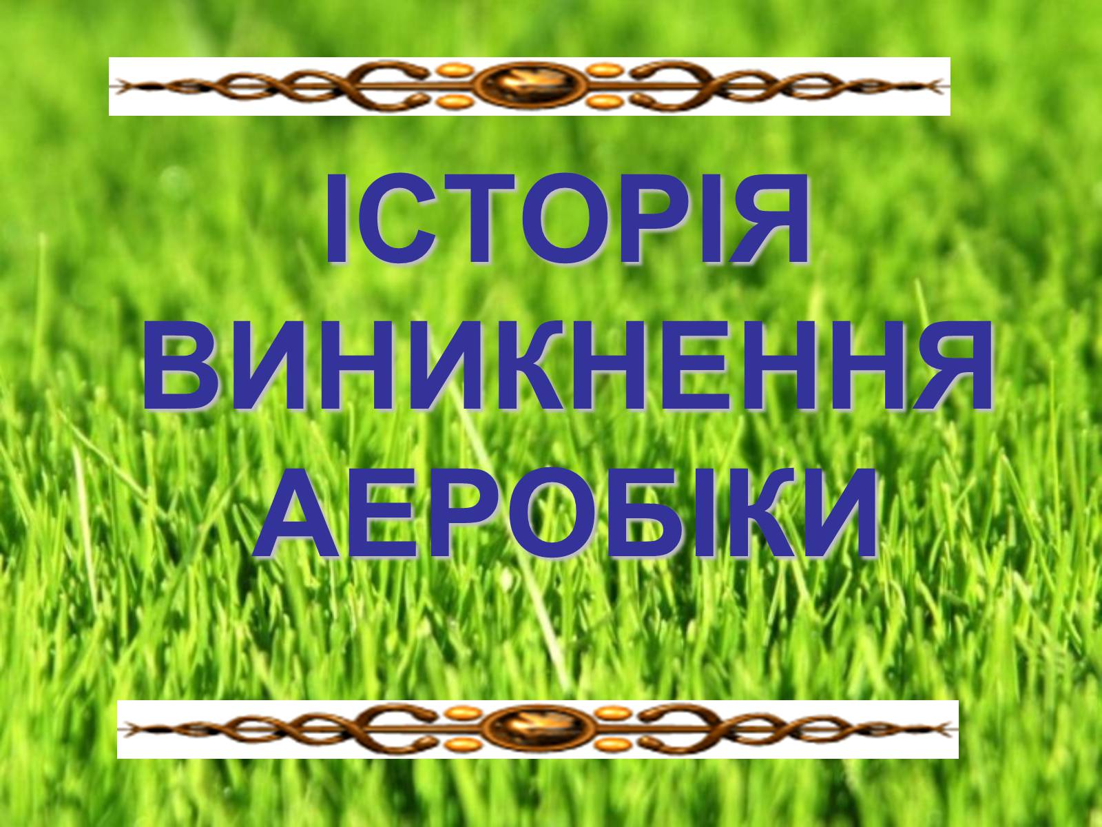 Презентація на тему «Аеробіка» - Слайд #6 Презентація на тему «Аеробіка» - Слайд #6