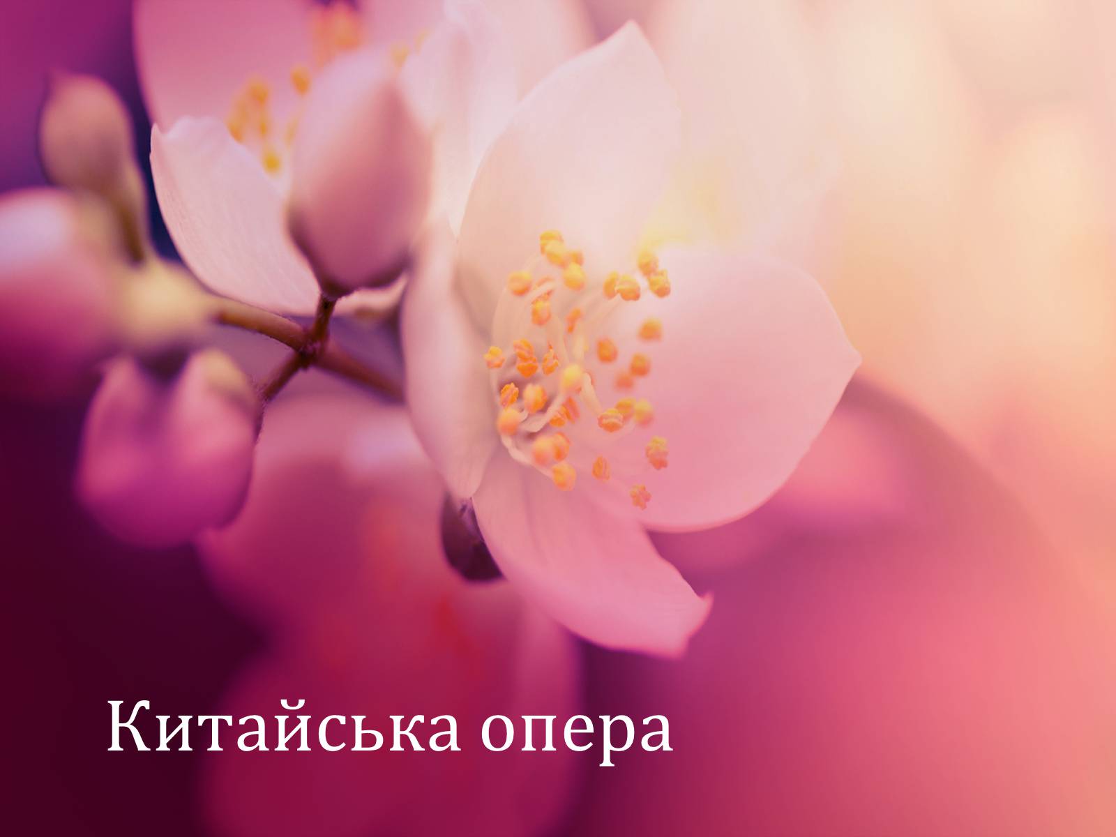 Презентація на тему «Китайська опера» (варіант 4) - Слайд #1 Презентація на тему «Китайська опера» (варіант 4) - Слайд #1