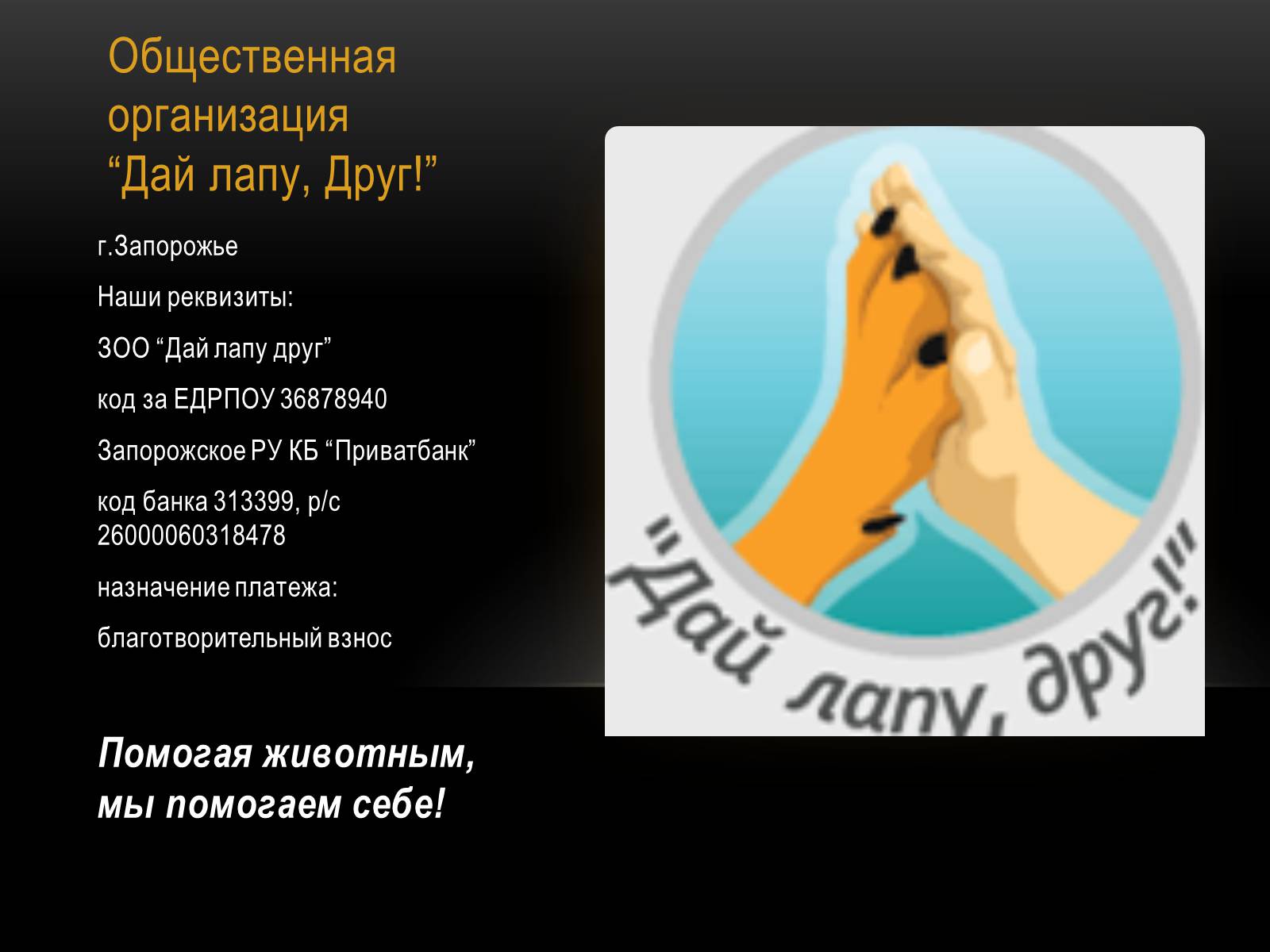 Презентація на тему «Бездомні тварини» - Слайд #5 Презентація на тему «Бездомні тварини» - Слайд #5