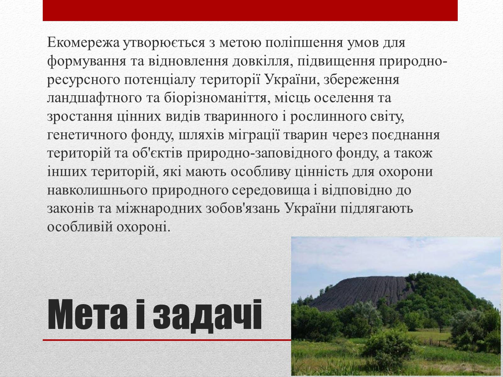 Презентація на тему «Основні структурні елементи екомережі» - Слайд #3 Презентація на тему «Основні структурні елементи екомережі» - Слайд #3