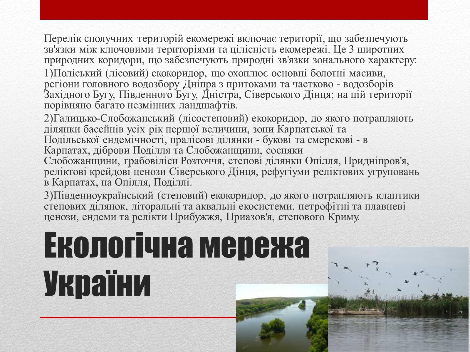 Презентація на тему «Основні структурні елементи екомережі» - Слайд #5 Презентація на тему «Основні структурні елементи екомережі» - Слайд #5