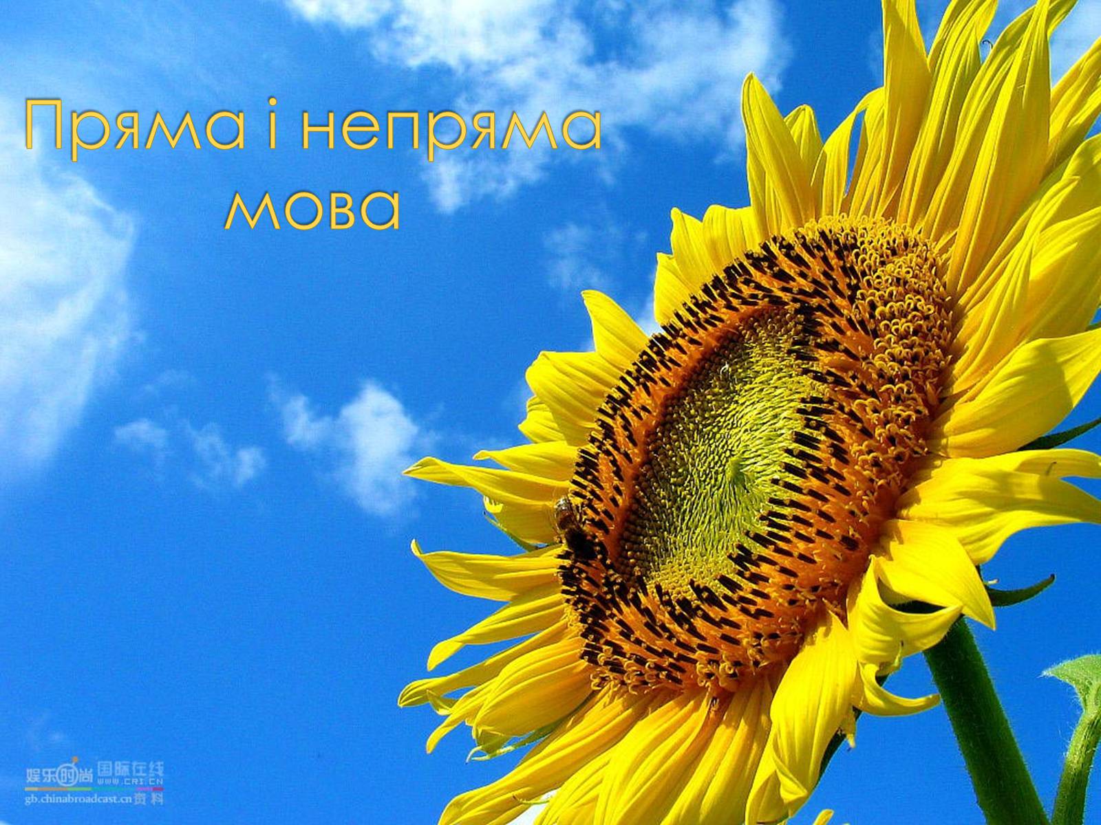 Презентація на тему «Пряма і непряма мова» (варіант 2) - Слайд #1 Презентація на тему «Пряма і непряма мова» (варіант 2) - Слайд #1