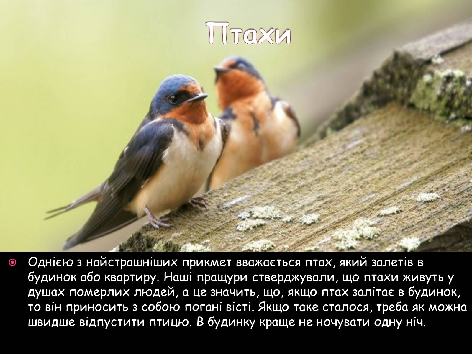 Презентація на тему «Прикмети» - Слайд #5 Презентація на тему «Прикмети» - Слайд #5
