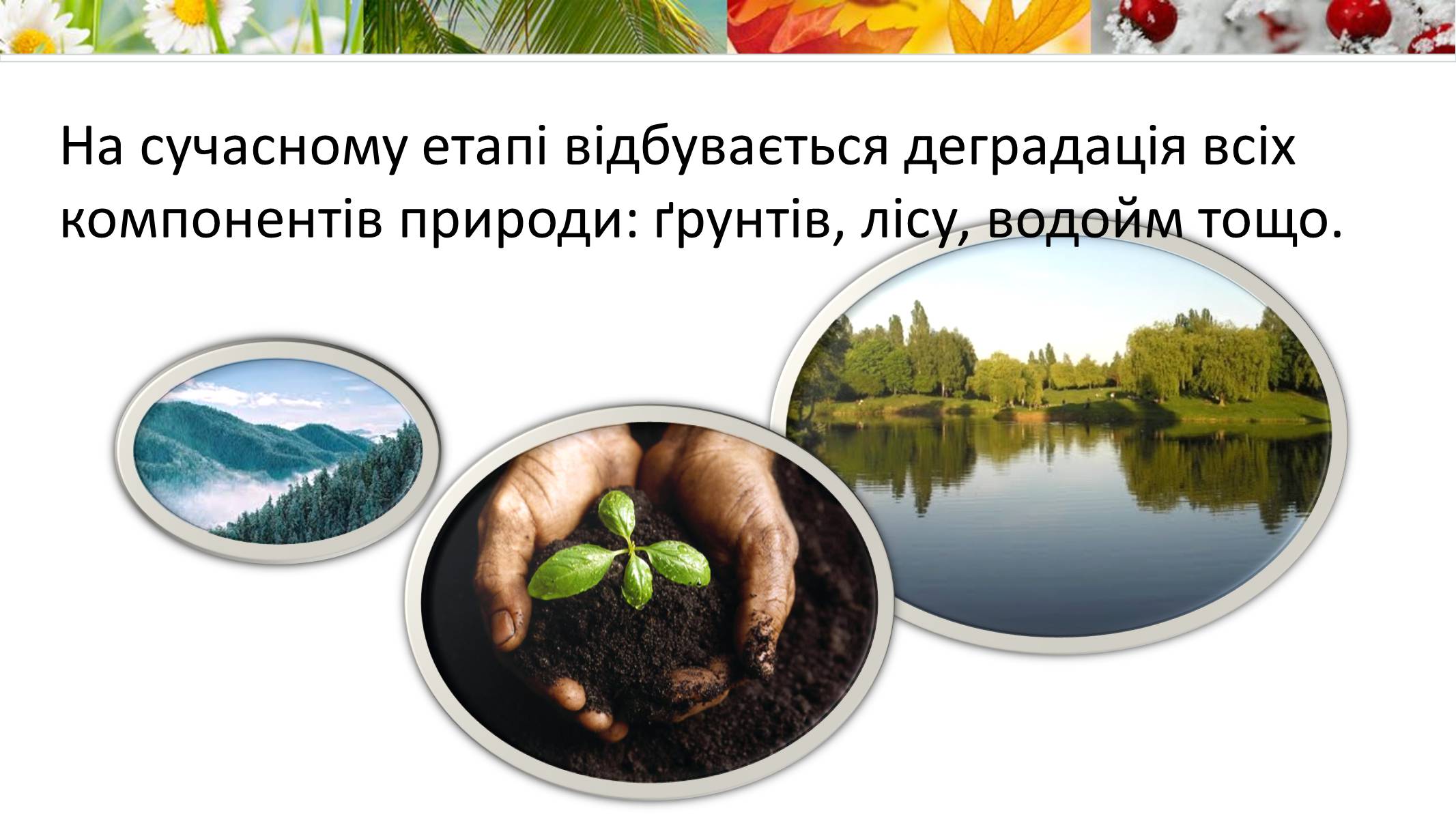 Презентація на тему «Екологія» (варіант 9) - Слайд #13 Презентація на тему «Екологія» (варіант 9) - Слайд #13