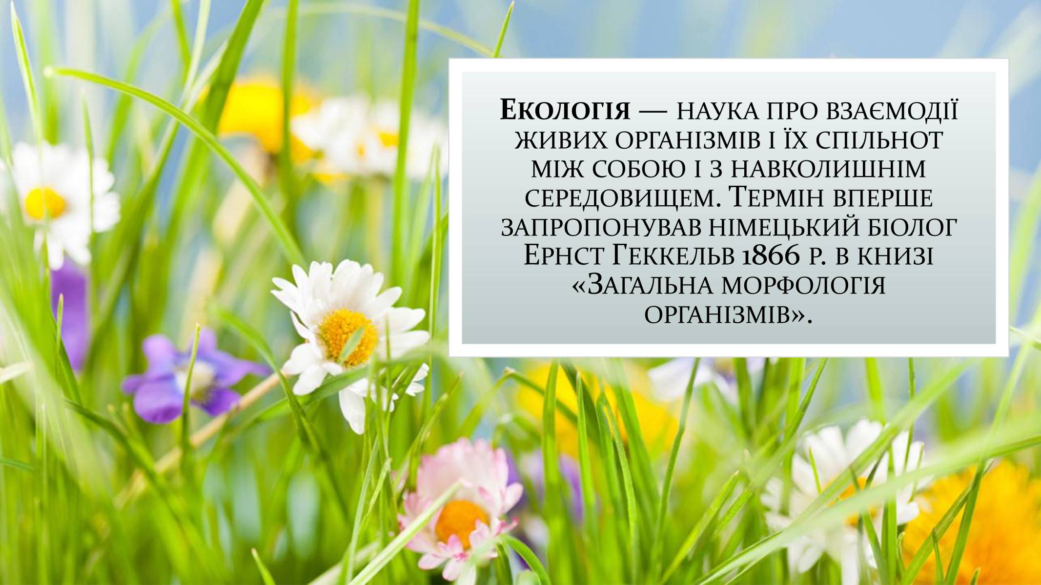 Презентація на тему «Екологія» (варіант 9) - Слайд #3 Презентація на тему «Екологія» (варіант 9) - Слайд #3