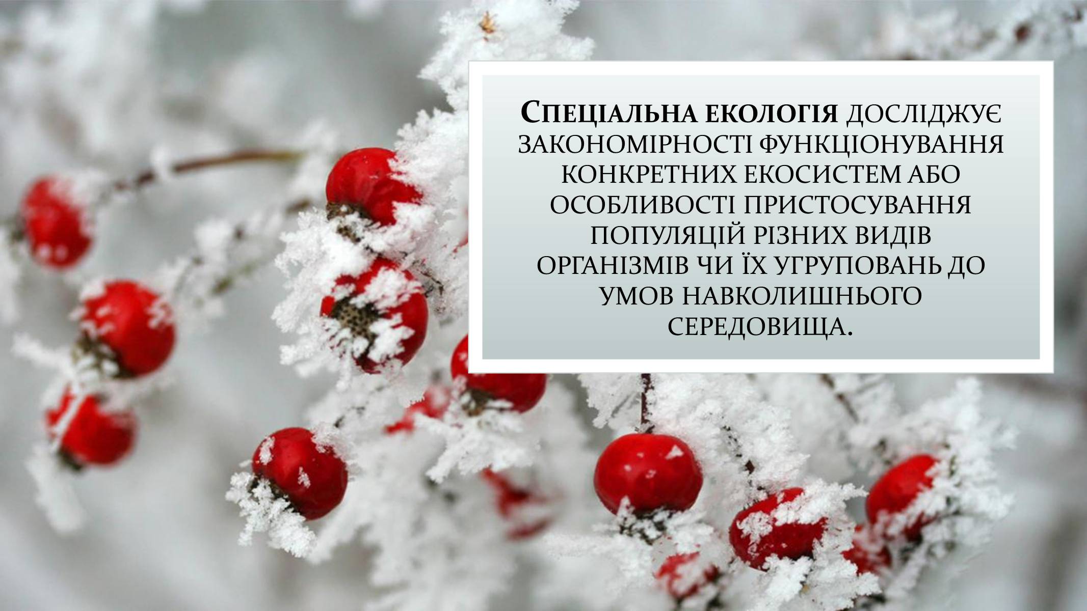 Презентація на тему «Екологія» (варіант 9) - Слайд #6 Презентація на тему «Екологія» (варіант 9) - Слайд #6