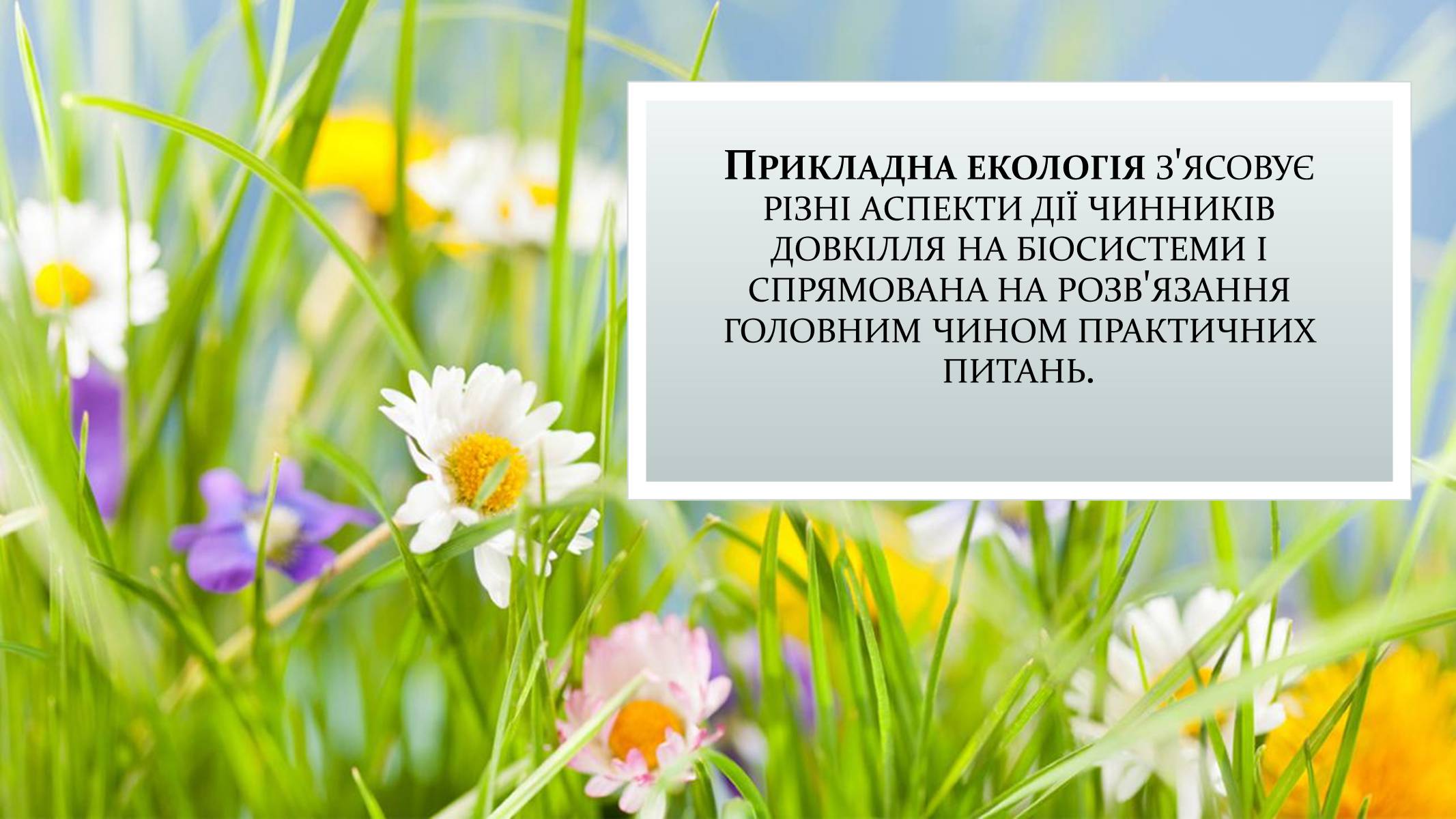 Презентація на тему «Екологія» (варіант 9) - Слайд #7 Презентація на тему «Екологія» (варіант 9) - Слайд #7