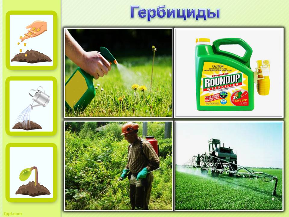 Презентація на тему «ГМО» (варіант 7) - Слайд #16 Презентація на тему «ГМО» (варіант 7) - Слайд #16