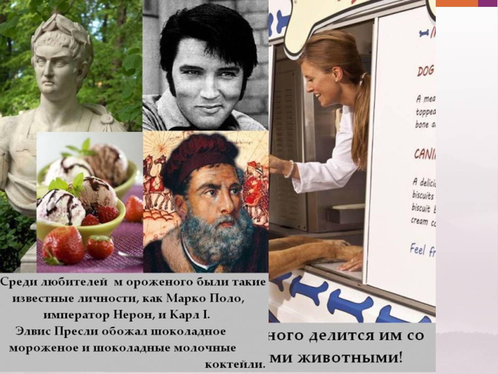 Презентація на тему «Цікаві факти про морозиво» - Слайд #9 Презентація на тему «Цікаві факти про морозиво» - Слайд #9