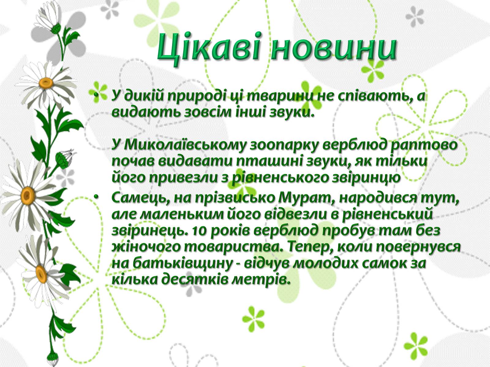 Презентація на тему «Миколаївський зоопарк» - Слайд #8 Презентація на тему «Миколаївський зоопарк» - Слайд #8
