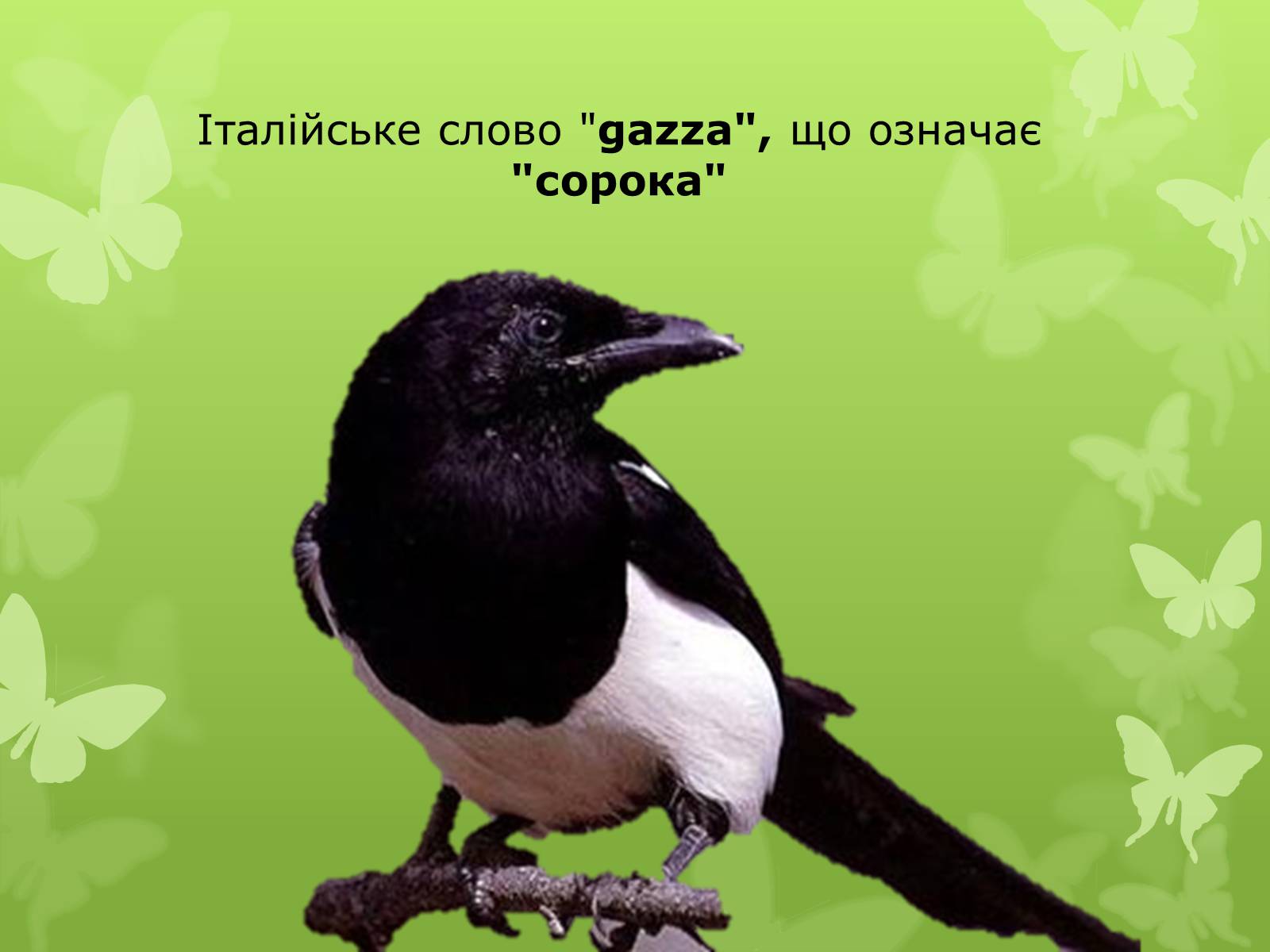 Презентація на тему «Слова з незвичайною біографією» - Слайд #8 Презентація на тему «Слова з незвичайною біографією» - Слайд #8