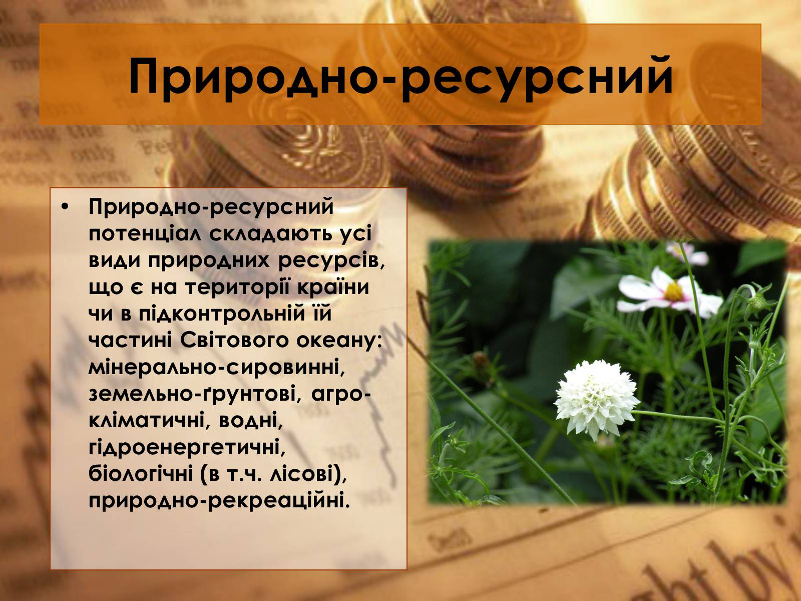 Презентація на тему «Економічний потенціал України» - Слайд #6 Презентація на тему «Економічний потенціал України» - Слайд #6