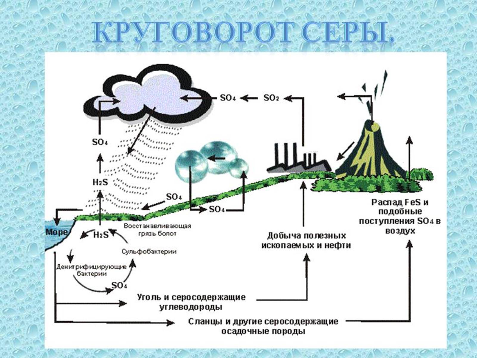 Презентація на тему «Проблема зміни ланок колообігу речовин та енергії» - Слайд #9 Презентація на тему «Проблема зміни ланок колообігу речовин та енергії» - Слайд #9