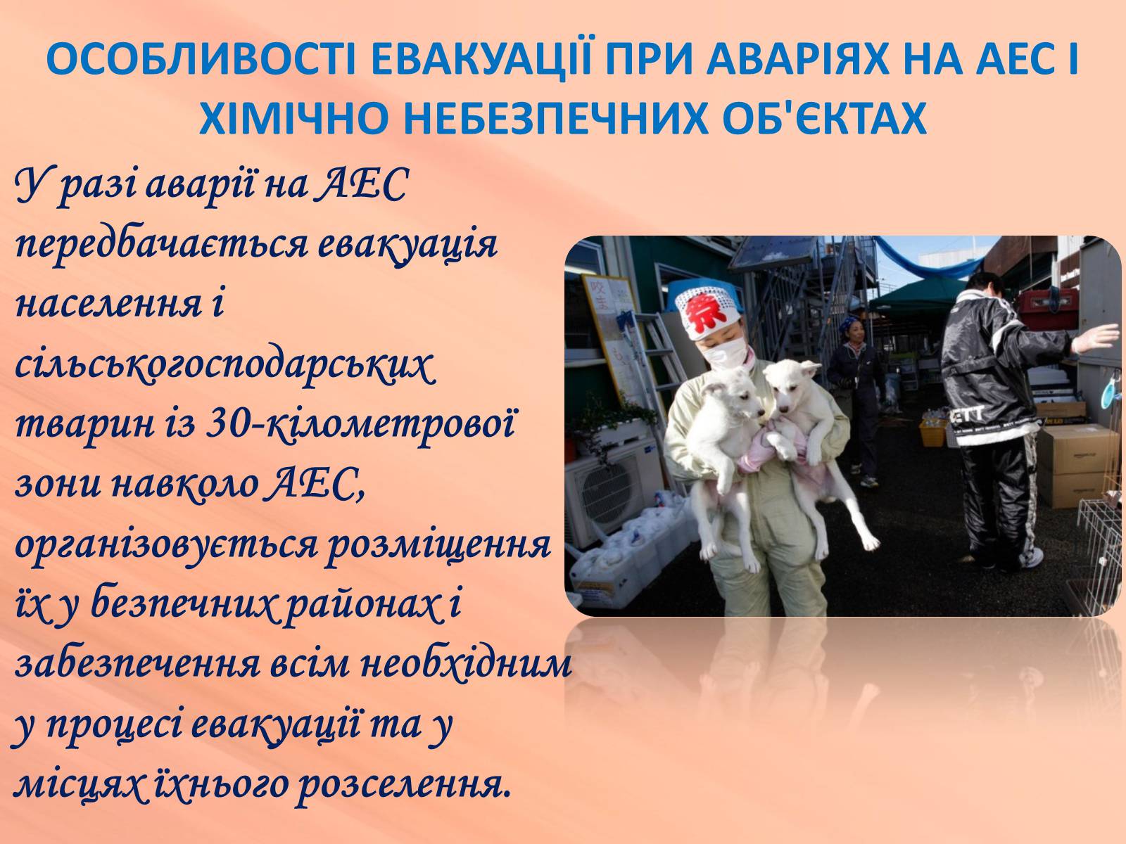 Презентація на тему «Евакуація населення» (варіант 1) - Слайд #15 Презентація на тему «Евакуація населення» (варіант 1) - Слайд #15