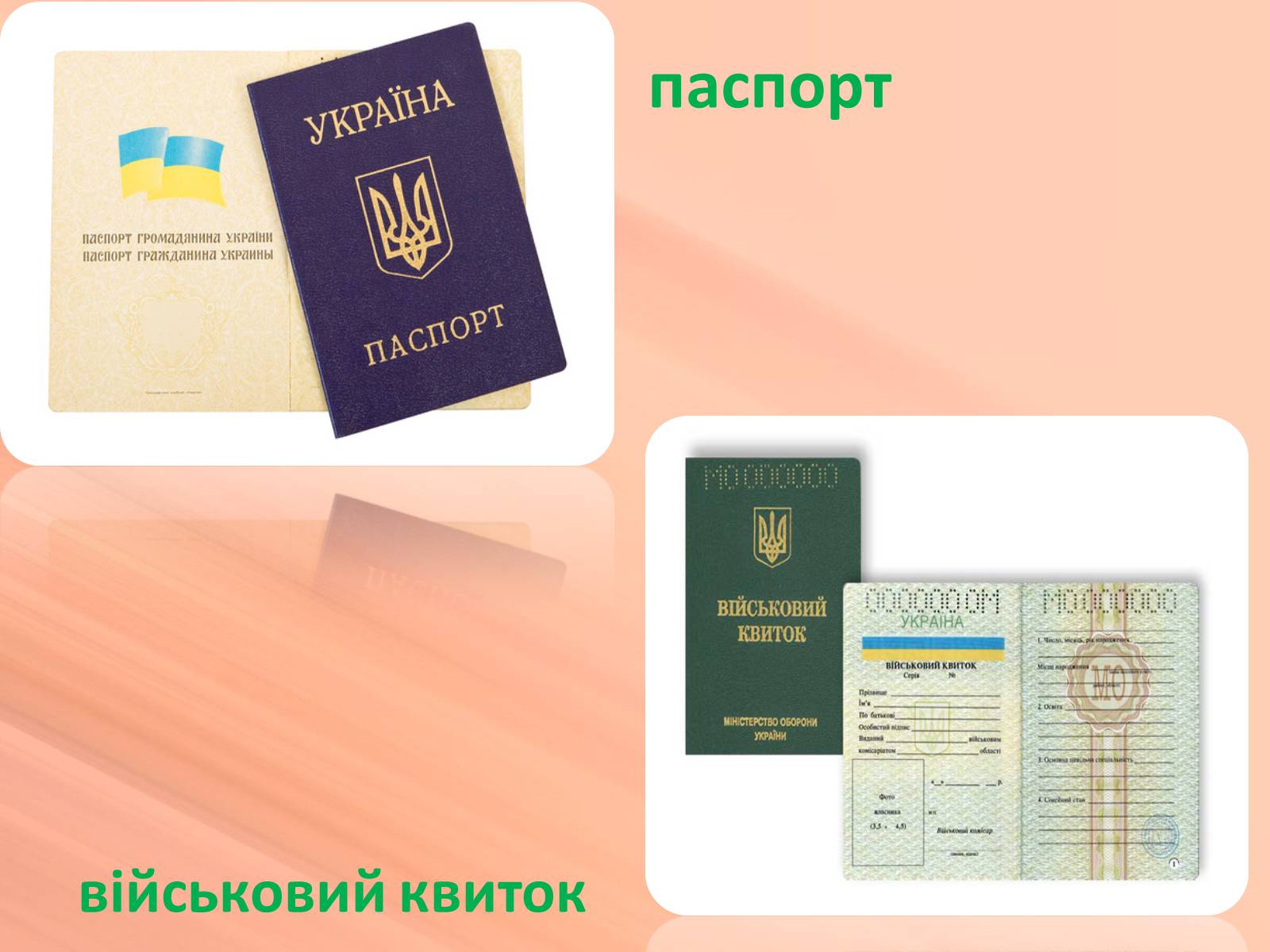 Презентація на тему «Евакуація населення» (варіант 1) - Слайд #9 Презентація на тему «Евакуація населення» (варіант 1) - Слайд #9