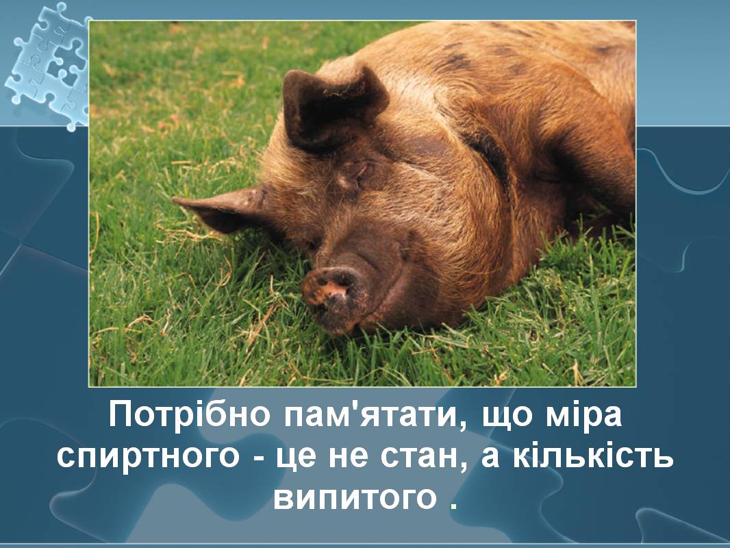 Презентація на тему «Вплив алкоголю на здоров’я підлітка» (варіант 3) - Слайд #37 Презентація на тему «Вплив алкоголю на здоров’я підлітка» (варіант 3) - Слайд #37