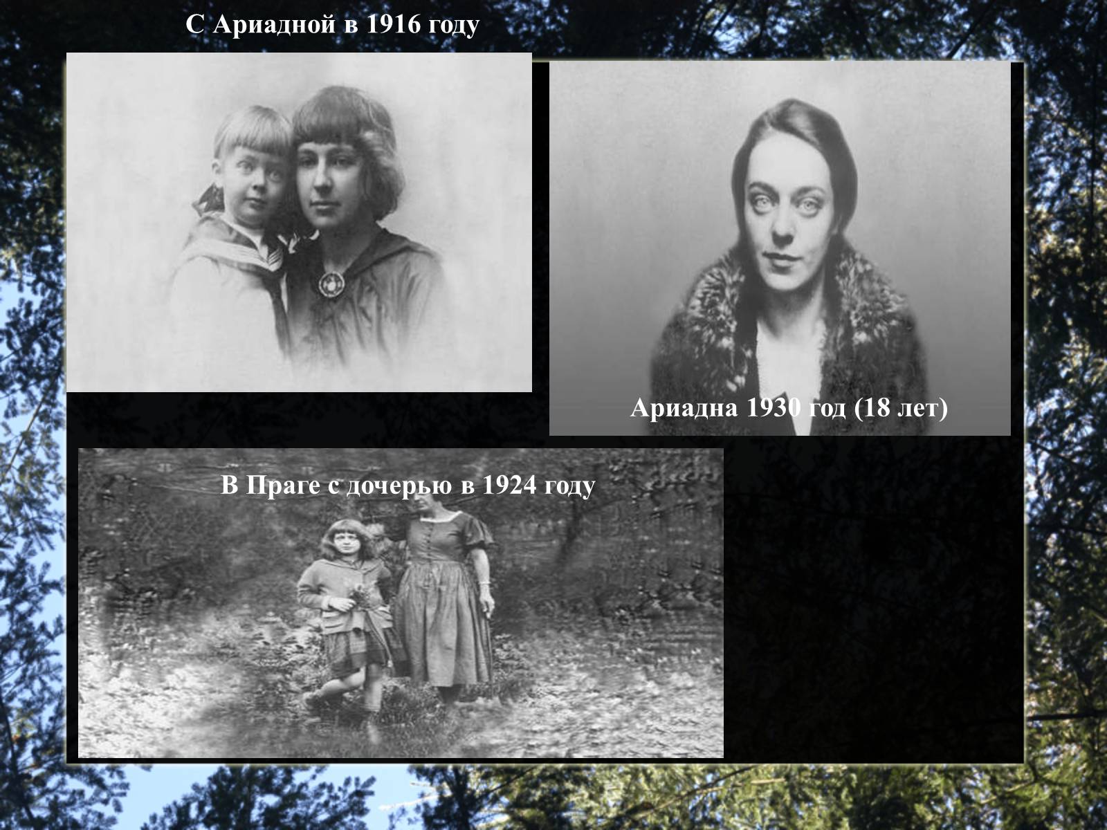 Презентація на тему «Марина Цветаева» - Слайд #15 Презентація на тему «Марина Цветаева» - Слайд #15