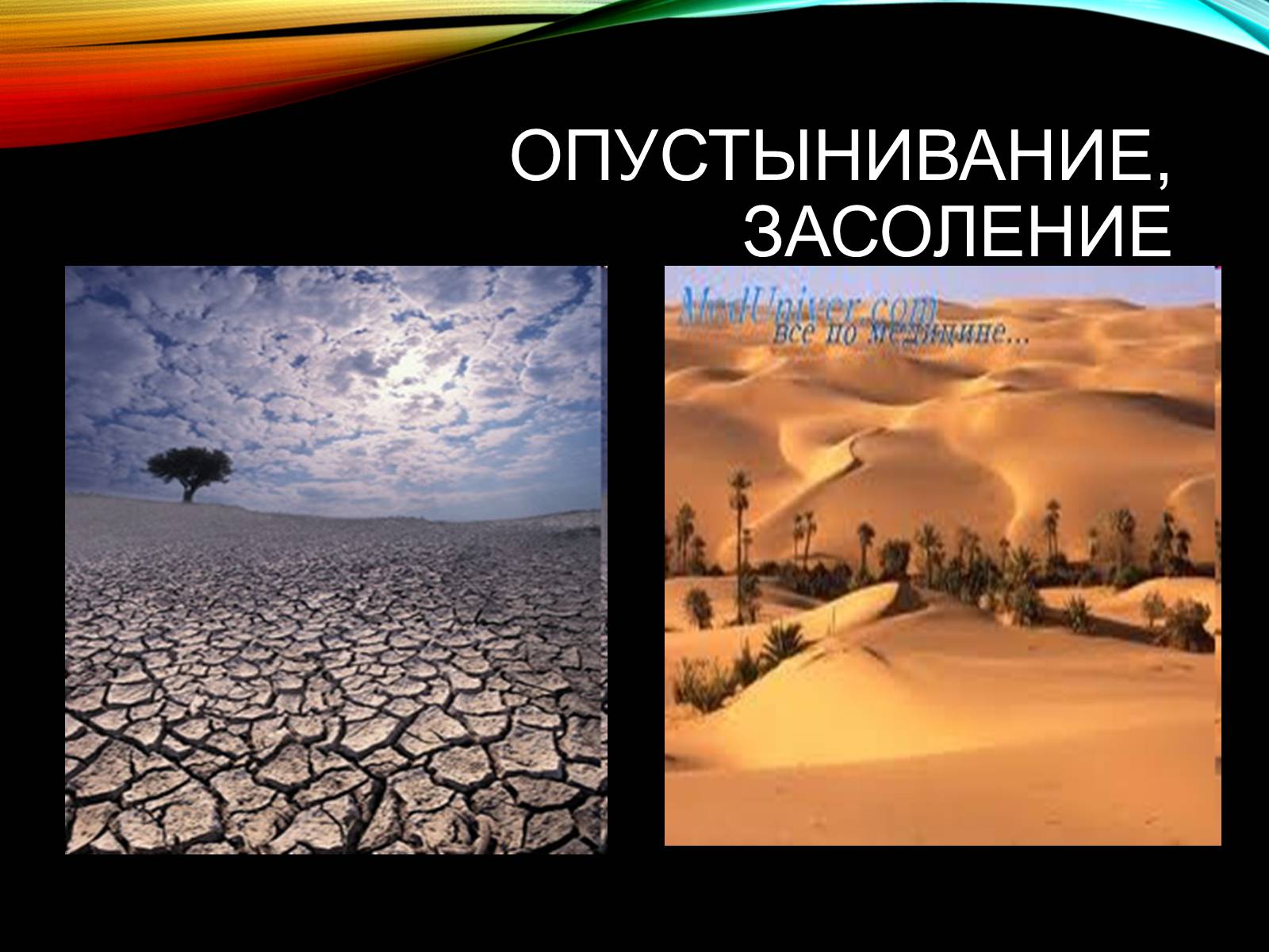 Презентація на тему «Причины и последствия деградации природных компонентов» - Слайд #19 Презентація на тему «Причины и последствия деградации природных компонентов» - Слайд #19