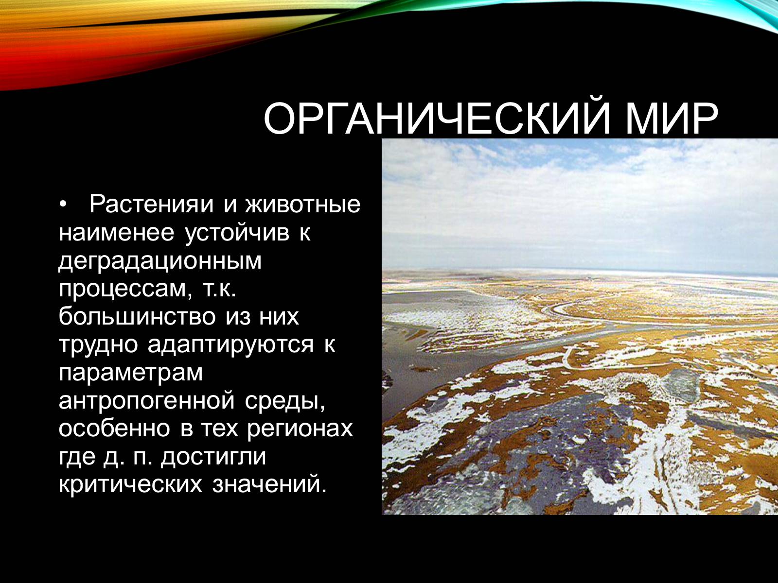 Презентація на тему «Причины и последствия деградации природных компонентов» - Слайд #21 Презентація на тему «Причины и последствия деградации природных компонентов» - Слайд #21