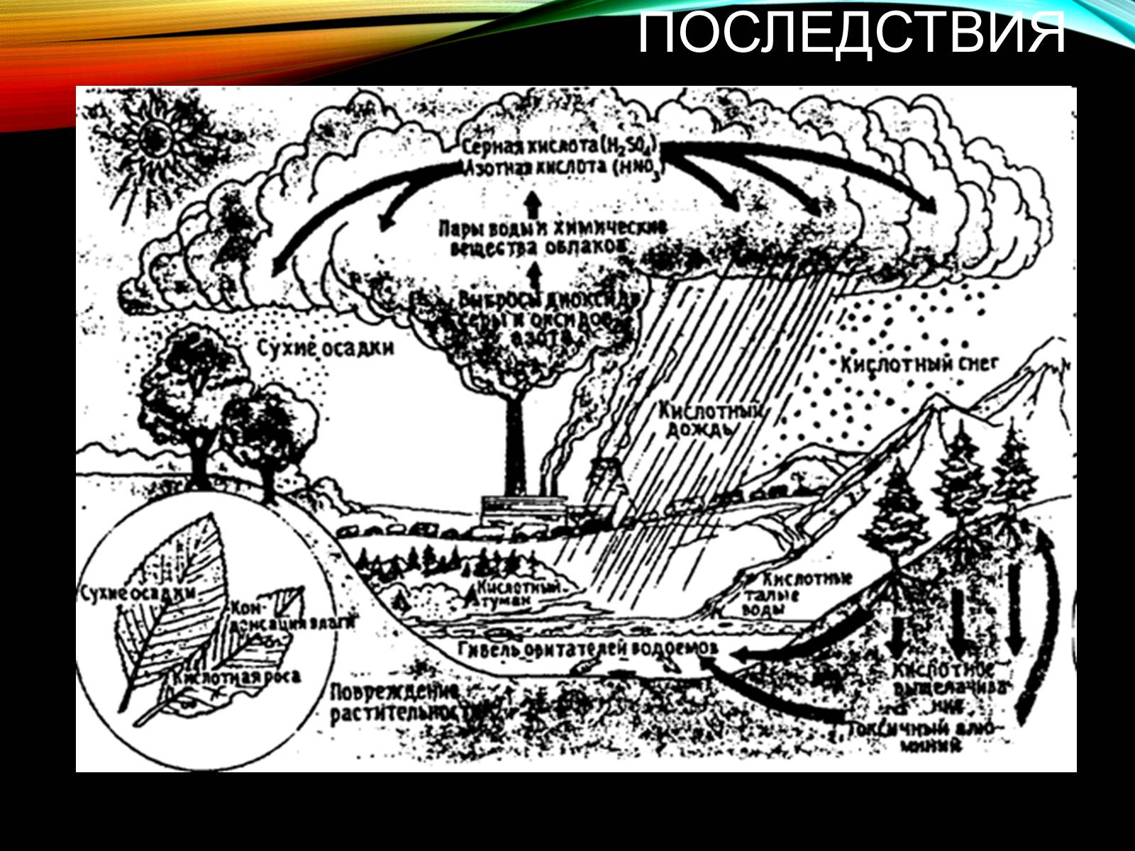 Презентація на тему «Причины и последствия деградации природных компонентов» - Слайд #5 Презентація на тему «Причины и последствия деградации природных компонентов» - Слайд #5