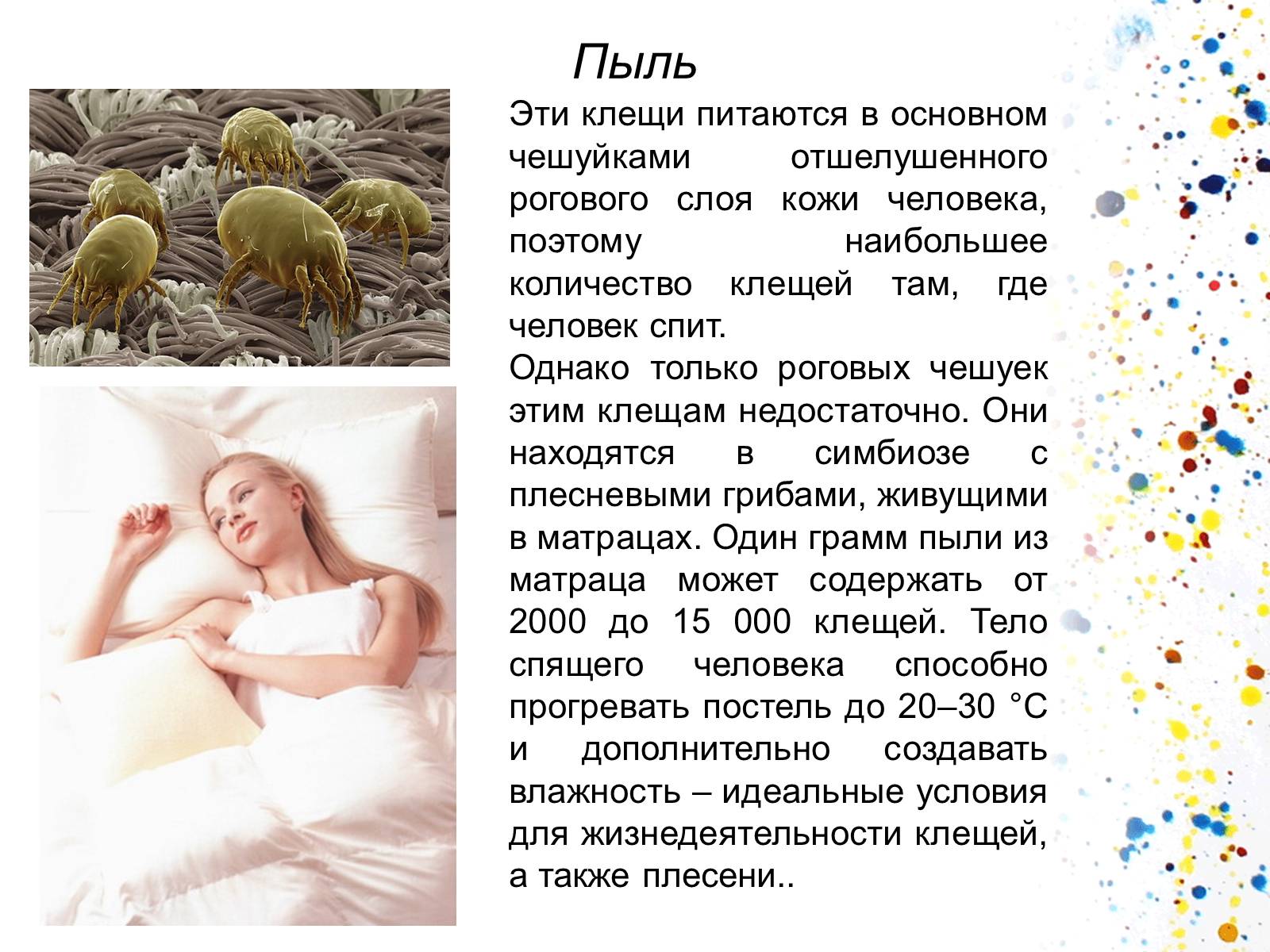 Презентація на тему «Экология квартиры» - Слайд #7 Презентація на тему «Экология квартиры» - Слайд #7