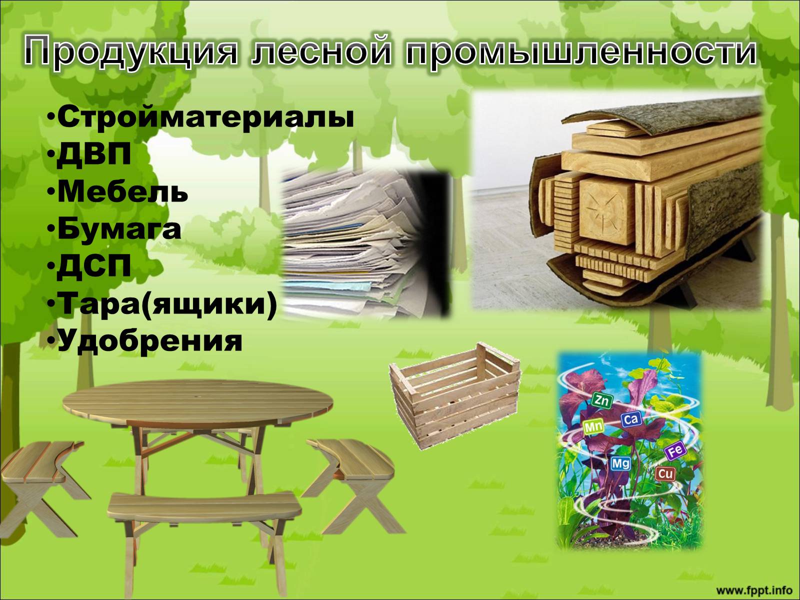 Презентація на тему «Лесной комплекс России» - Слайд #9