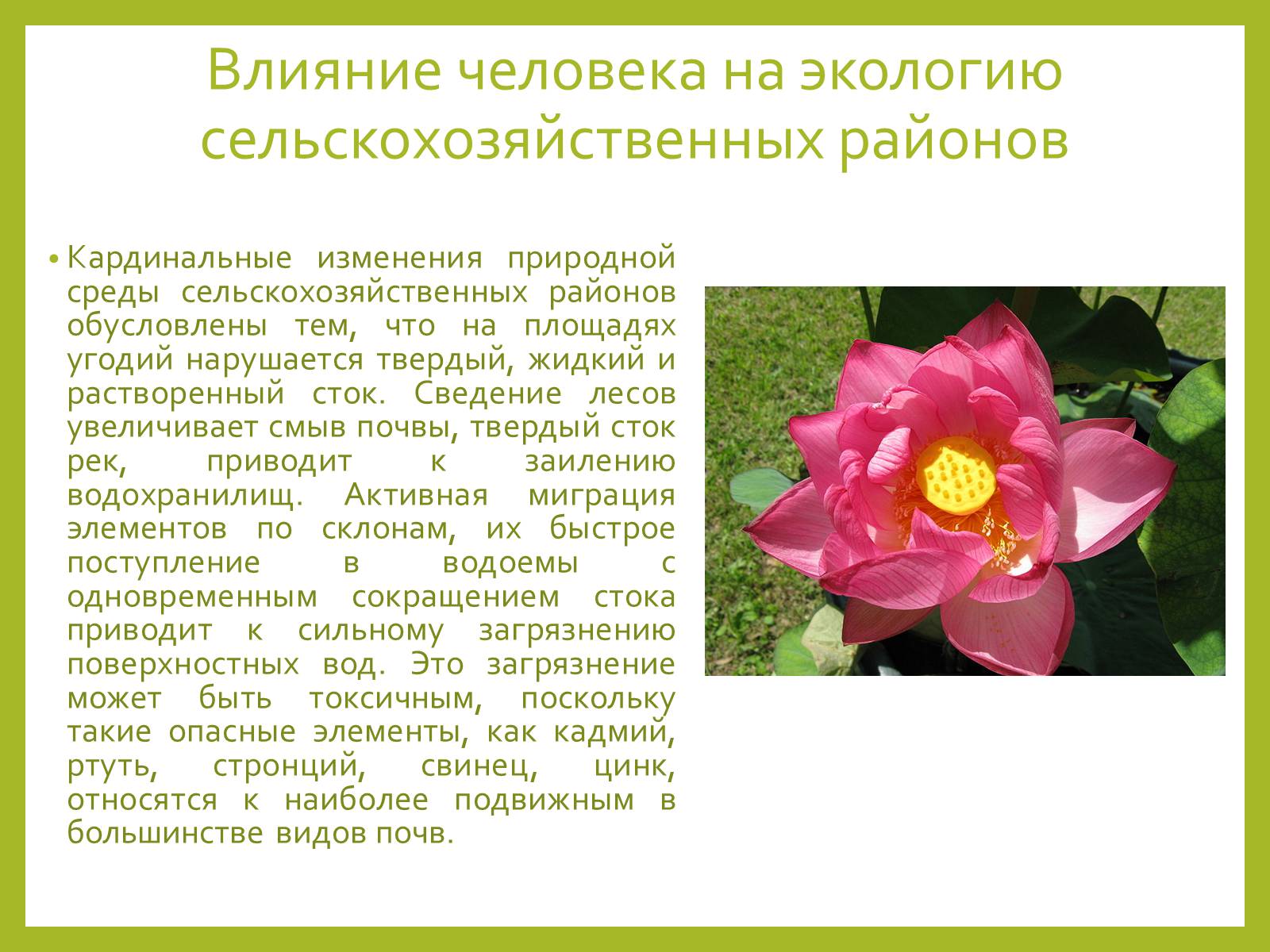 Презентація на тему «Влияние человека на экосистему» - Слайд #4 Презентація на тему «Влияние человека на экосистему» - Слайд #4