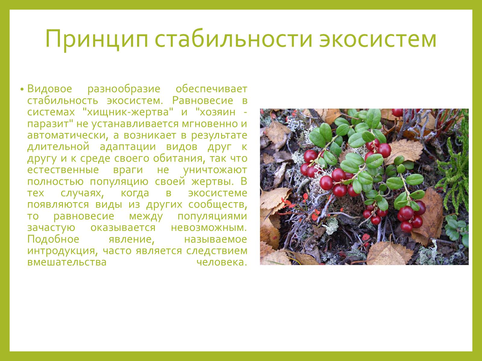 Презентація на тему «Влияние человека на экосистему» - Слайд #6 Презентація на тему «Влияние человека на экосистему» - Слайд #6