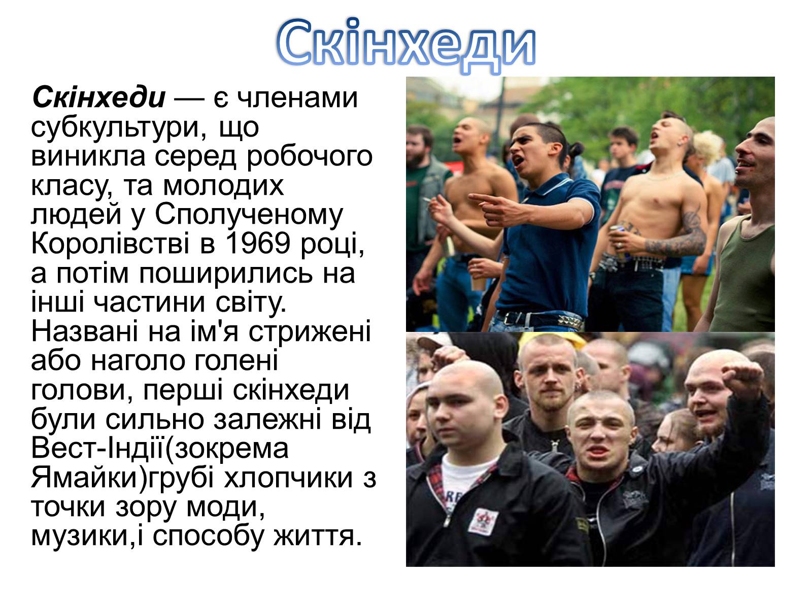 Презентація на тему «Поняття про субкультури» - Слайд #10 Презентація на тему «Поняття про субкультури» - Слайд #10