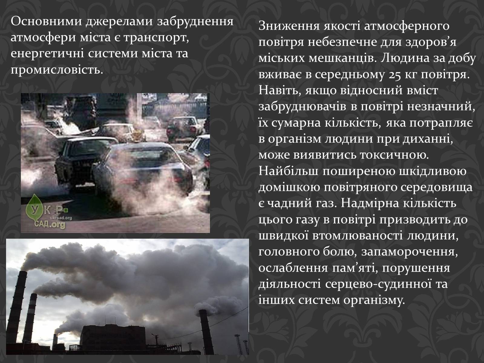 Презентація на тему «Урбанізація та її наслідки» (варіант 2) - Слайд #8 Презентація на тему «Урбанізація та її наслідки» (варіант 2) - Слайд #8