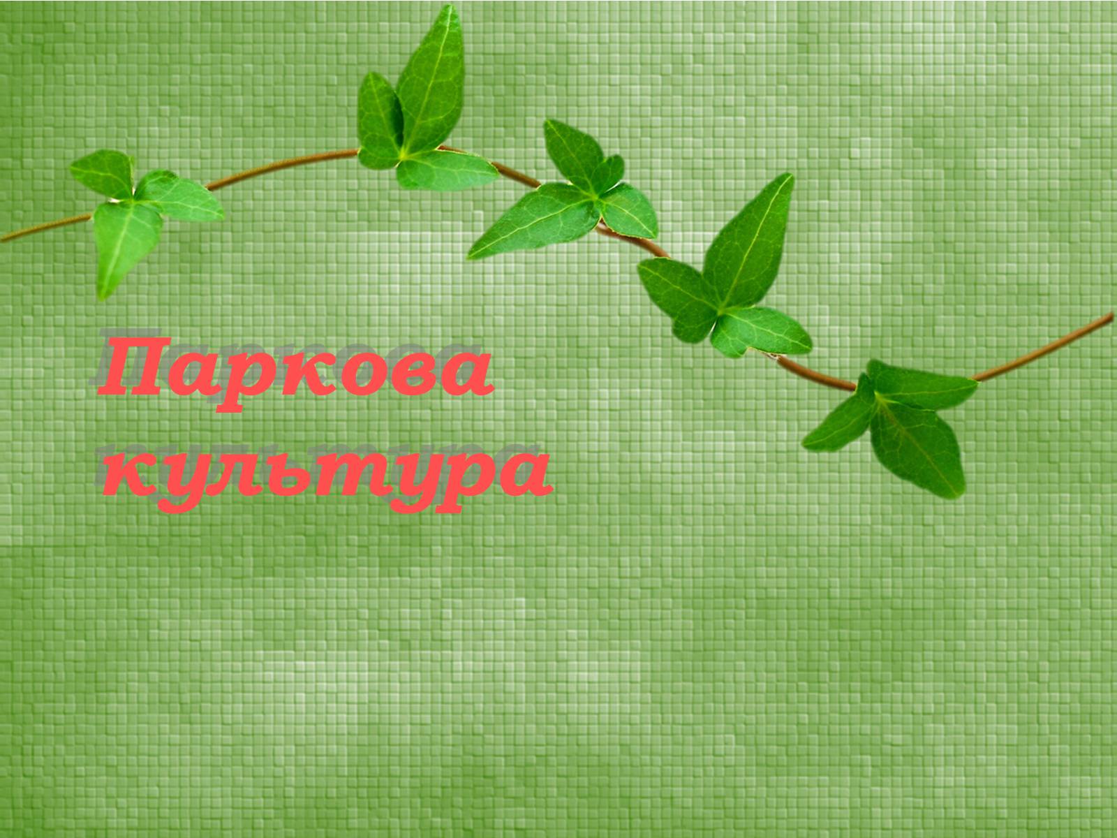 Презентація на тему «Паркова культура» (варіант 9) - Слайд #1 Презентація на тему «Паркова культура» (варіант 9) - Слайд #1