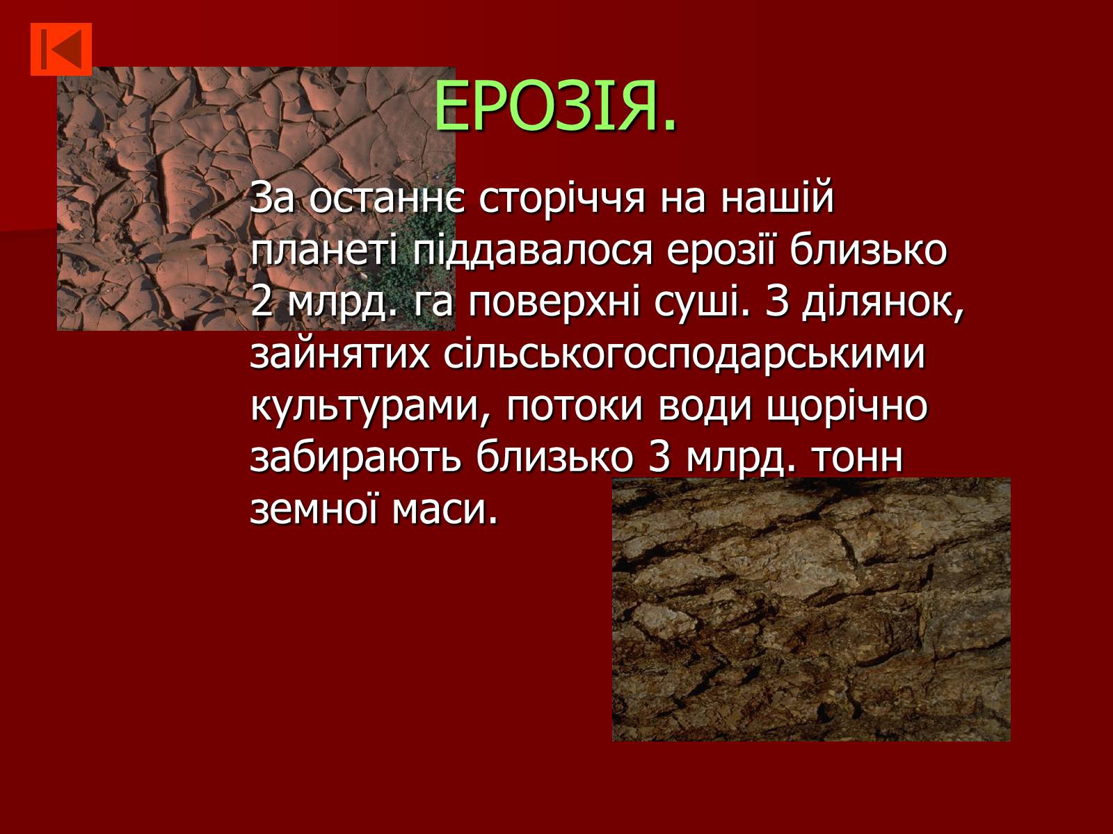 Презентація на тему «Екологія» (варіант 4) - Слайд #13 Презентація на тему «Екологія» (варіант 4) - Слайд #13