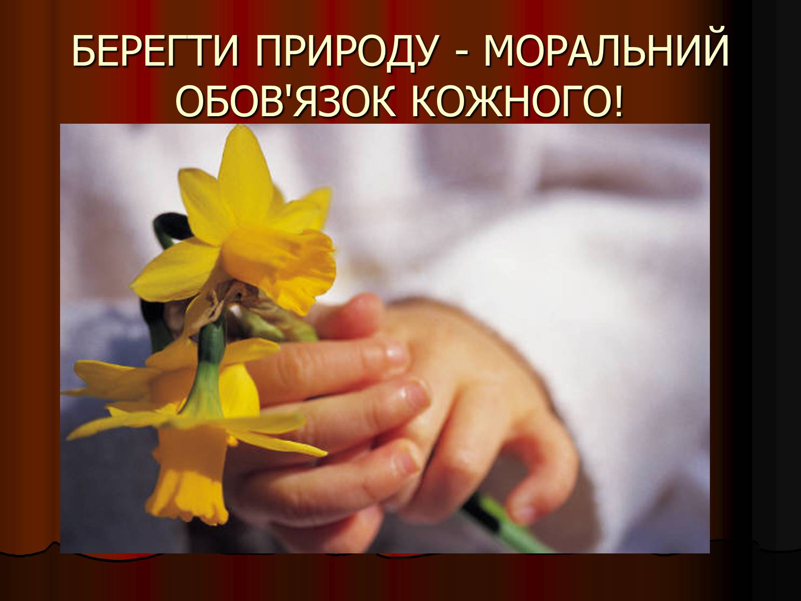 Презентація на тему «Екологія» (варіант 4) - Слайд #15 Презентація на тему «Екологія» (варіант 4) - Слайд #15