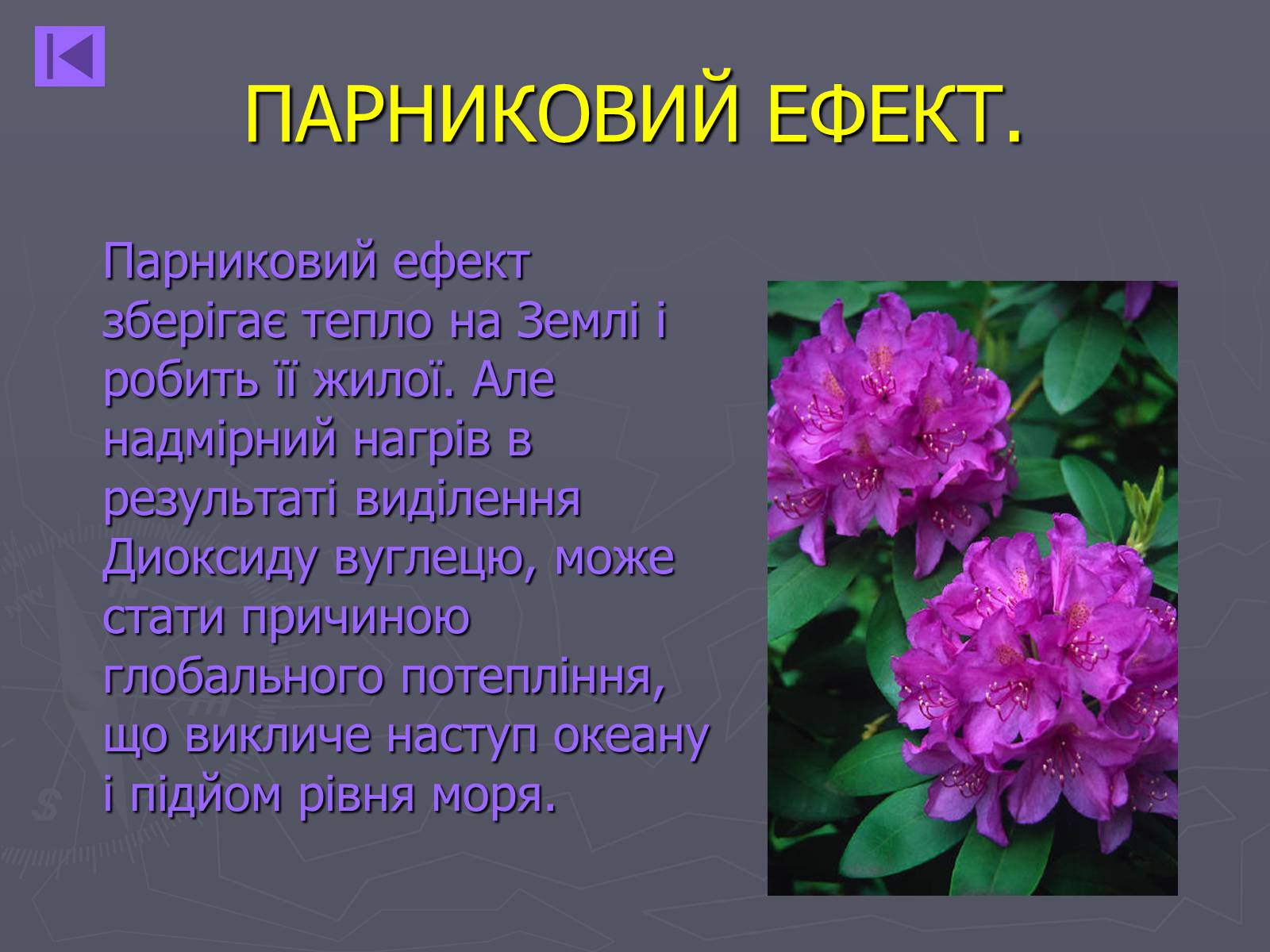 Презентація на тему «Екологія» (варіант 4) - Слайд #8 Презентація на тему «Екологія» (варіант 4) - Слайд #8