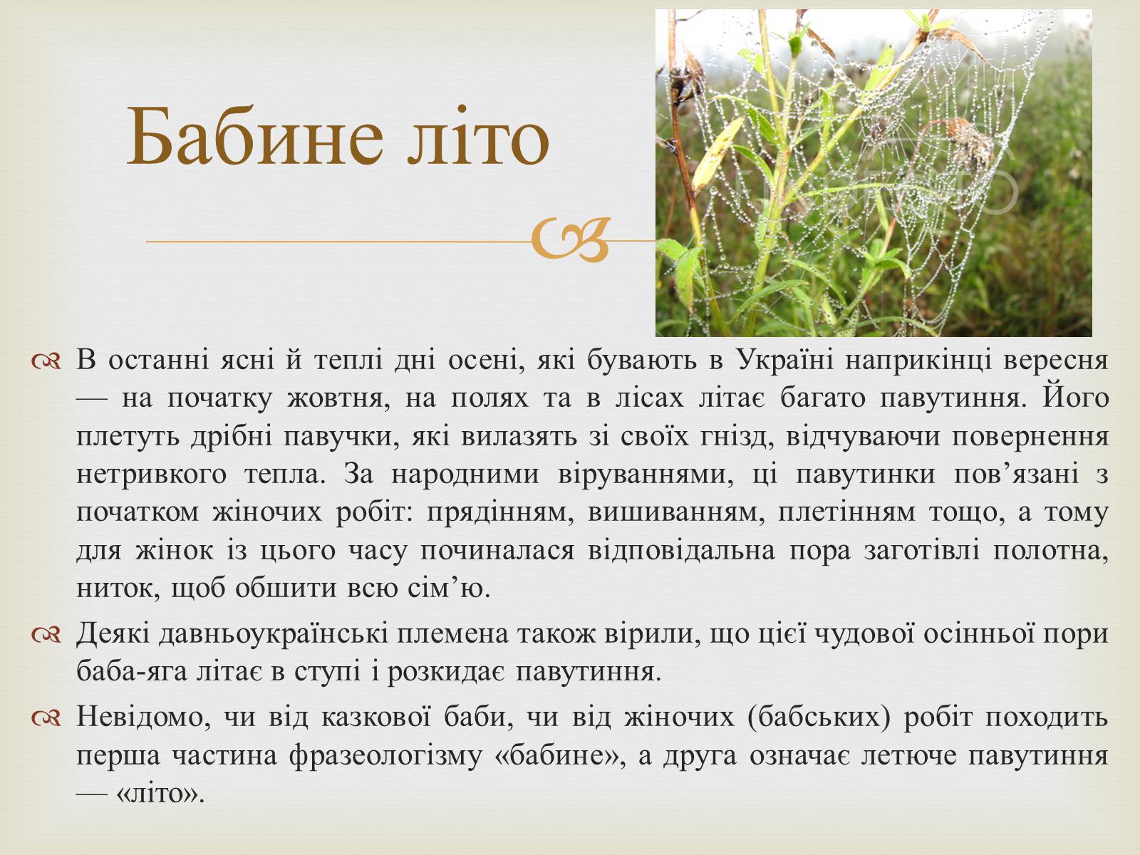 Презентація на тему «Українські народні фразеологізми» - Слайд #5 Презентація на тему «Українські народні фразеологізми» - Слайд #5