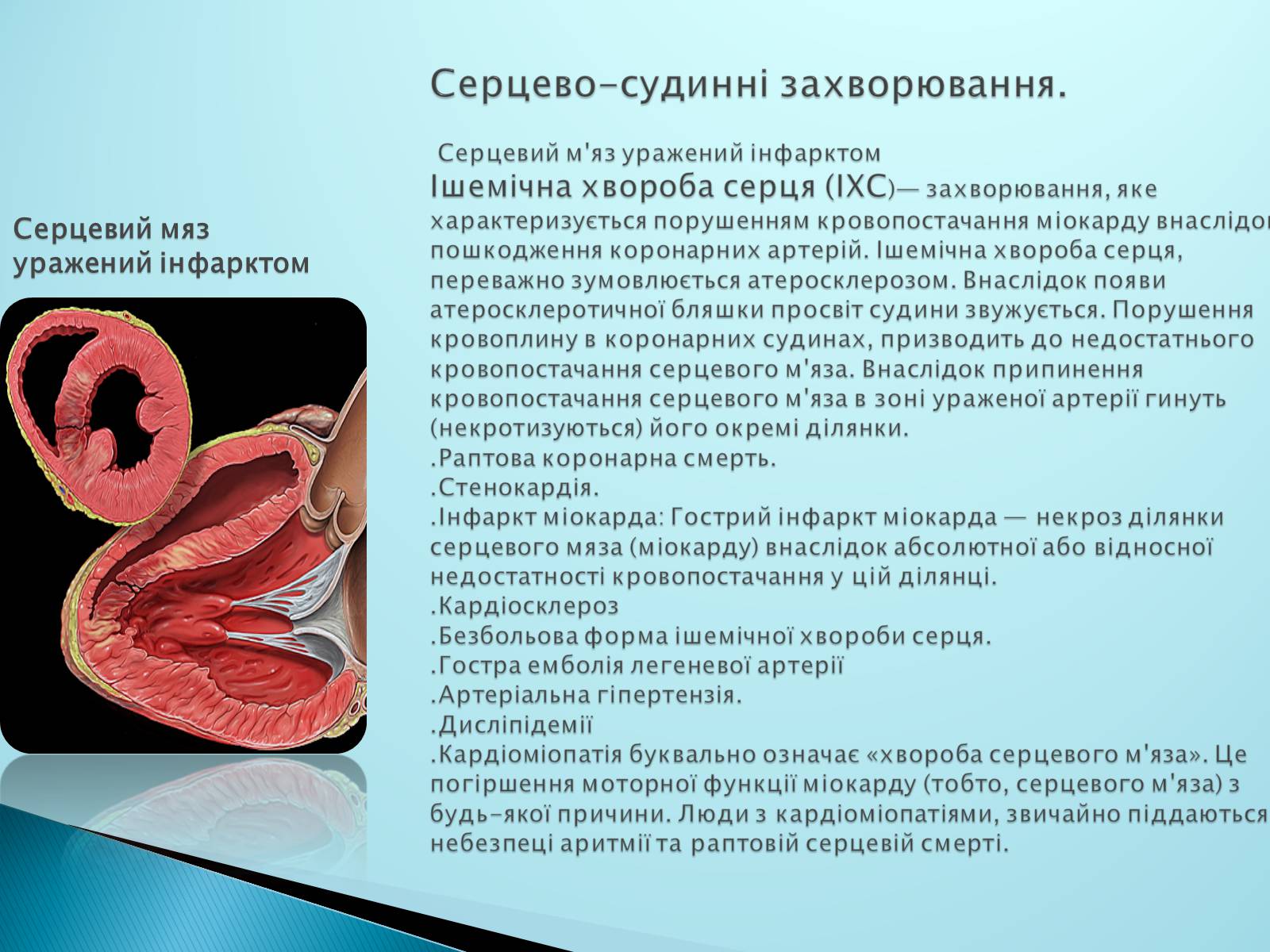Презентація на тему «Серце. Його робота та хвороби» - Слайд #8 Презентація на тему «Серце. Його робота та хвороби» - Слайд #8