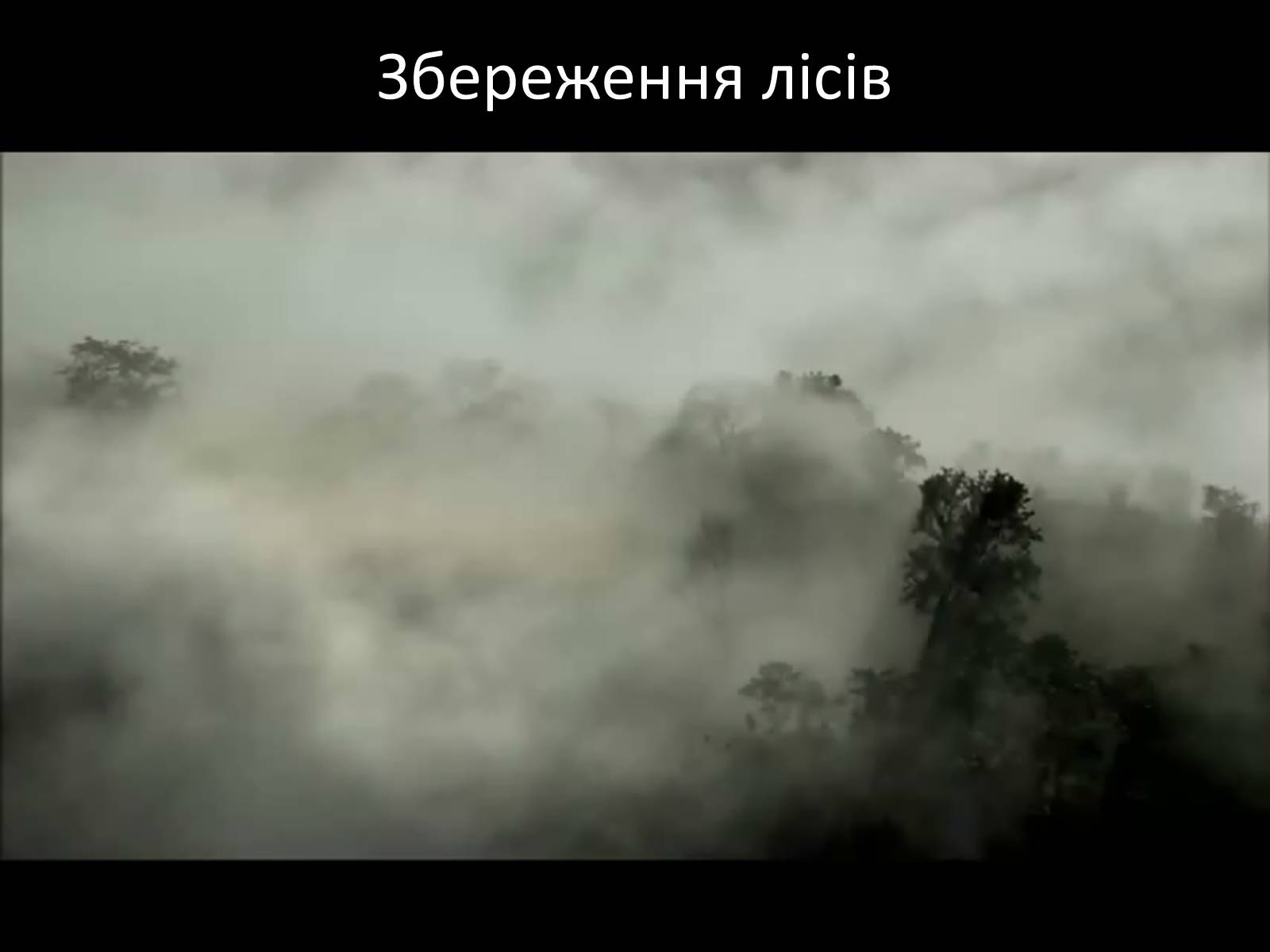 Презентація на тему «Грінпіс» (варіант 1) - Слайд #16 Презентація на тему «Грінпіс» (варіант 1) - Слайд #16