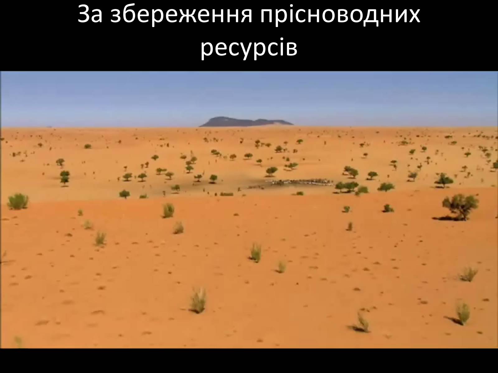 Презентація на тему «Грінпіс» (варіант 1) - Слайд #17 Презентація на тему «Грінпіс» (варіант 1) - Слайд #17