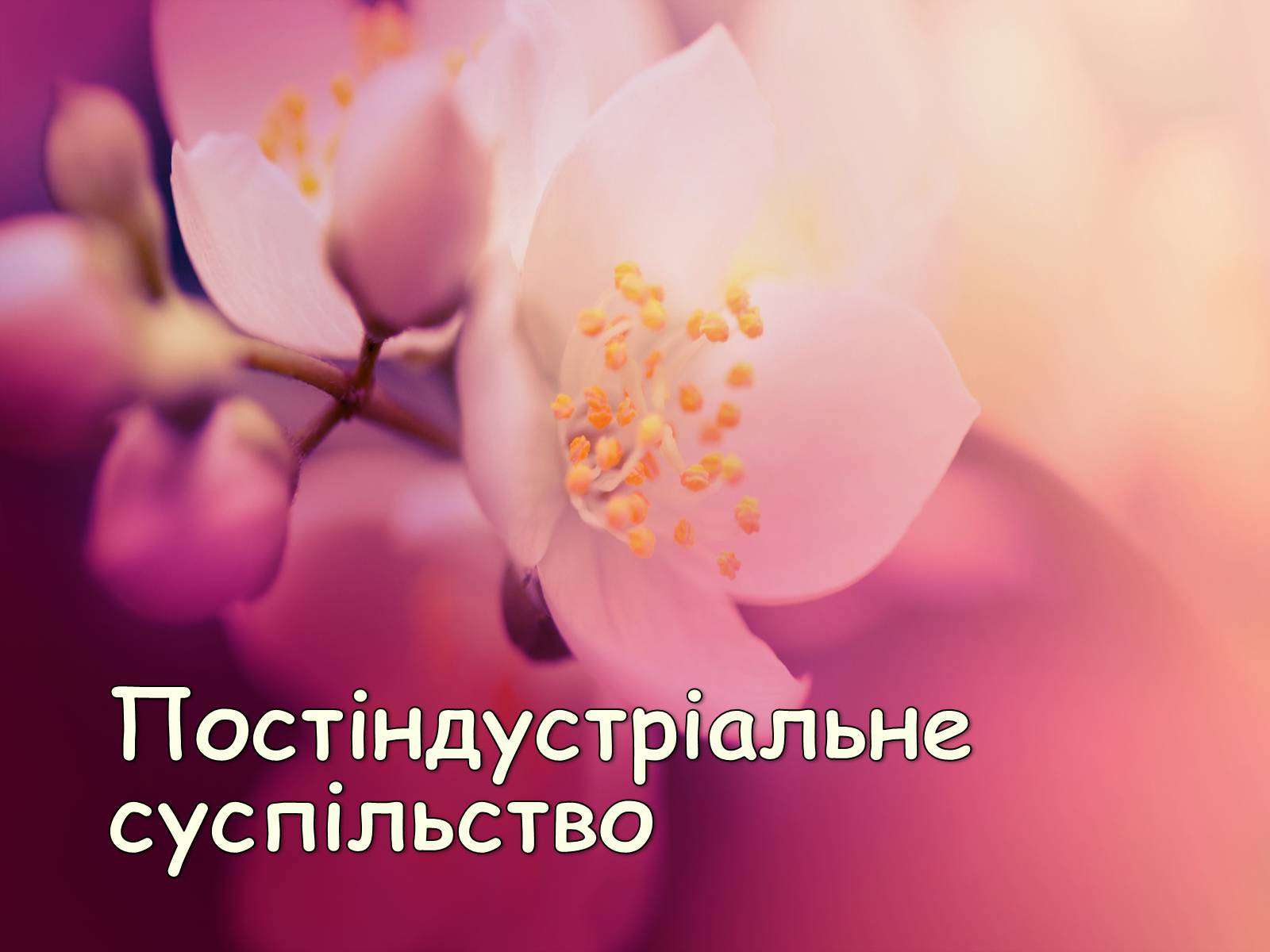 Презентація на тему «Постіндустріальне суспільство» - Слайд #1 Презентація на тему «Постіндустріальне суспільство» - Слайд #1