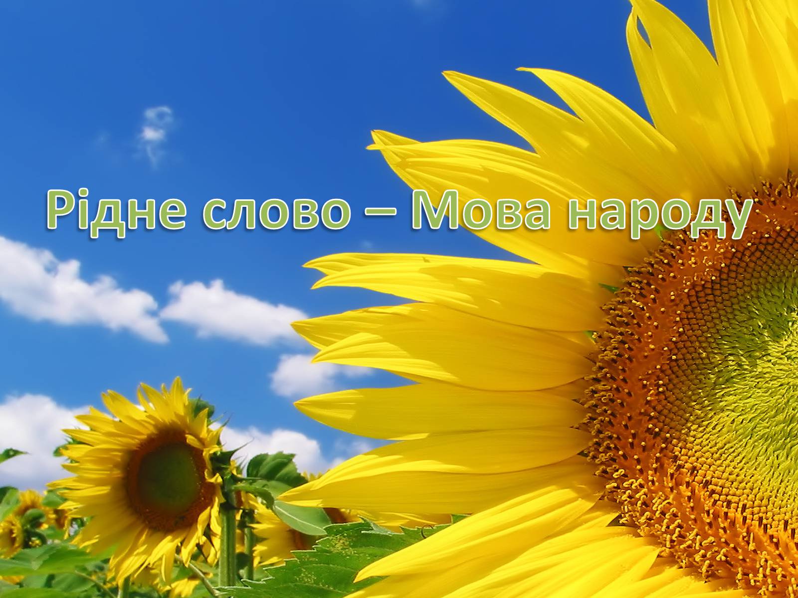 Презентація на тему «Рідне слово» - Слайд #1 Презентація на тему «Рідне слово» - Слайд #1
