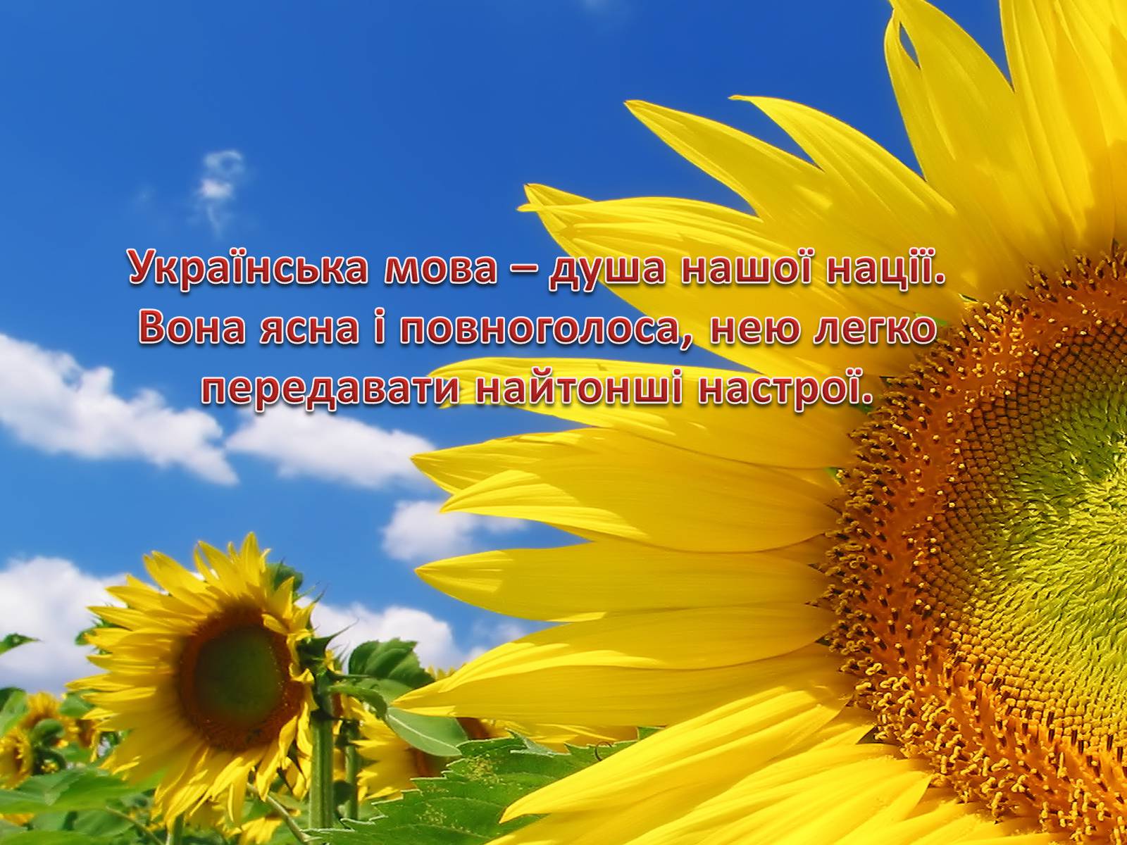 Презентація на тему «Рідне слово» - Слайд #4 Презентація на тему «Рідне слово» - Слайд #4