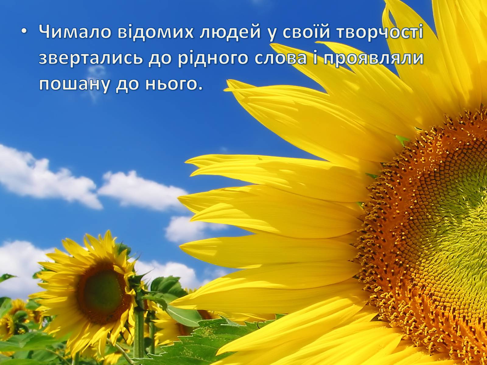 Презентація на тему «Рідне слово» - Слайд #5 Презентація на тему «Рідне слово» - Слайд #5