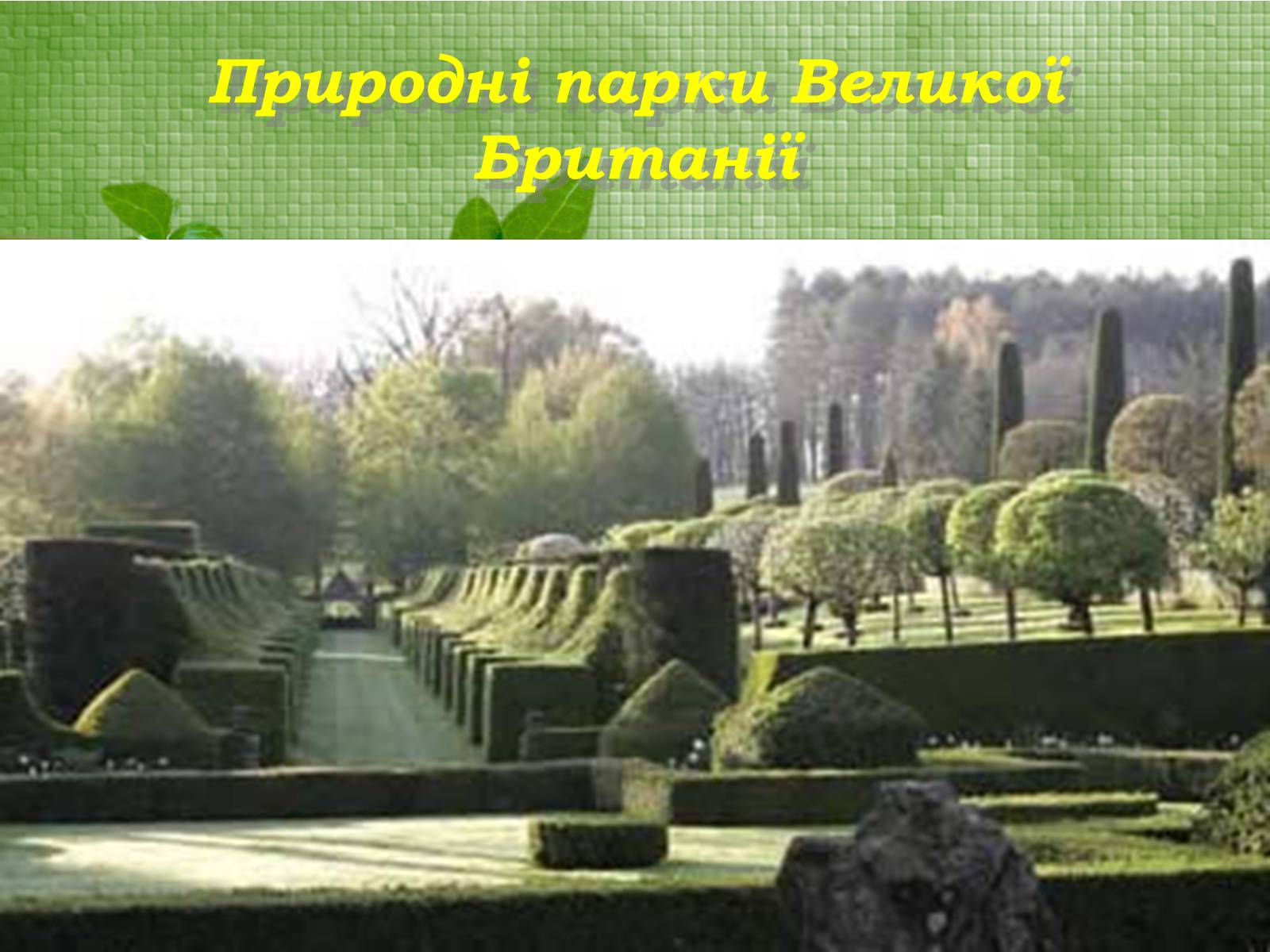 Презентація на тему «Паркова культура» (варіант 3) - Слайд #8 Презентація на тему «Паркова культура» (варіант 3) - Слайд #8